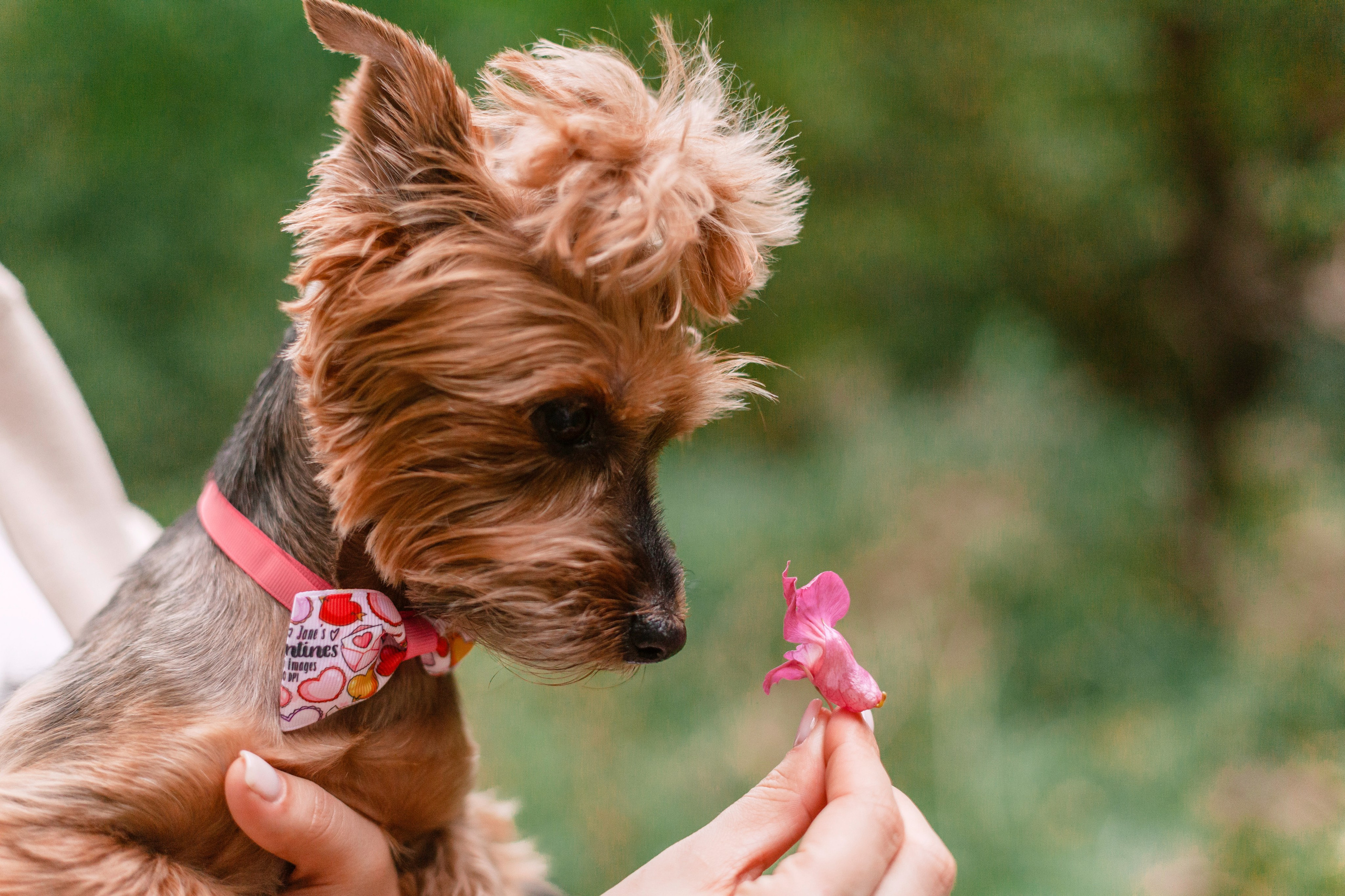 Катя и Моня. Фотограф-анималист Татьяна Степанова