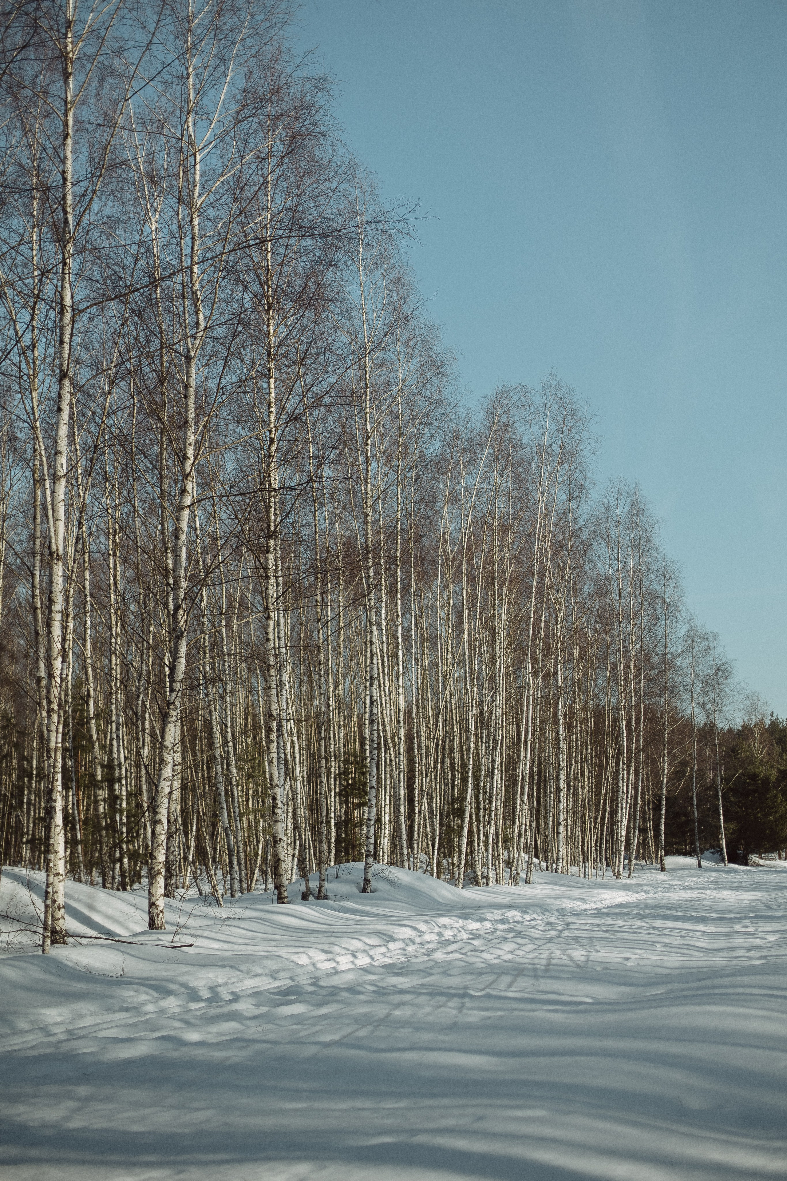 Экопарк ПОЛЯНЫ. Главная