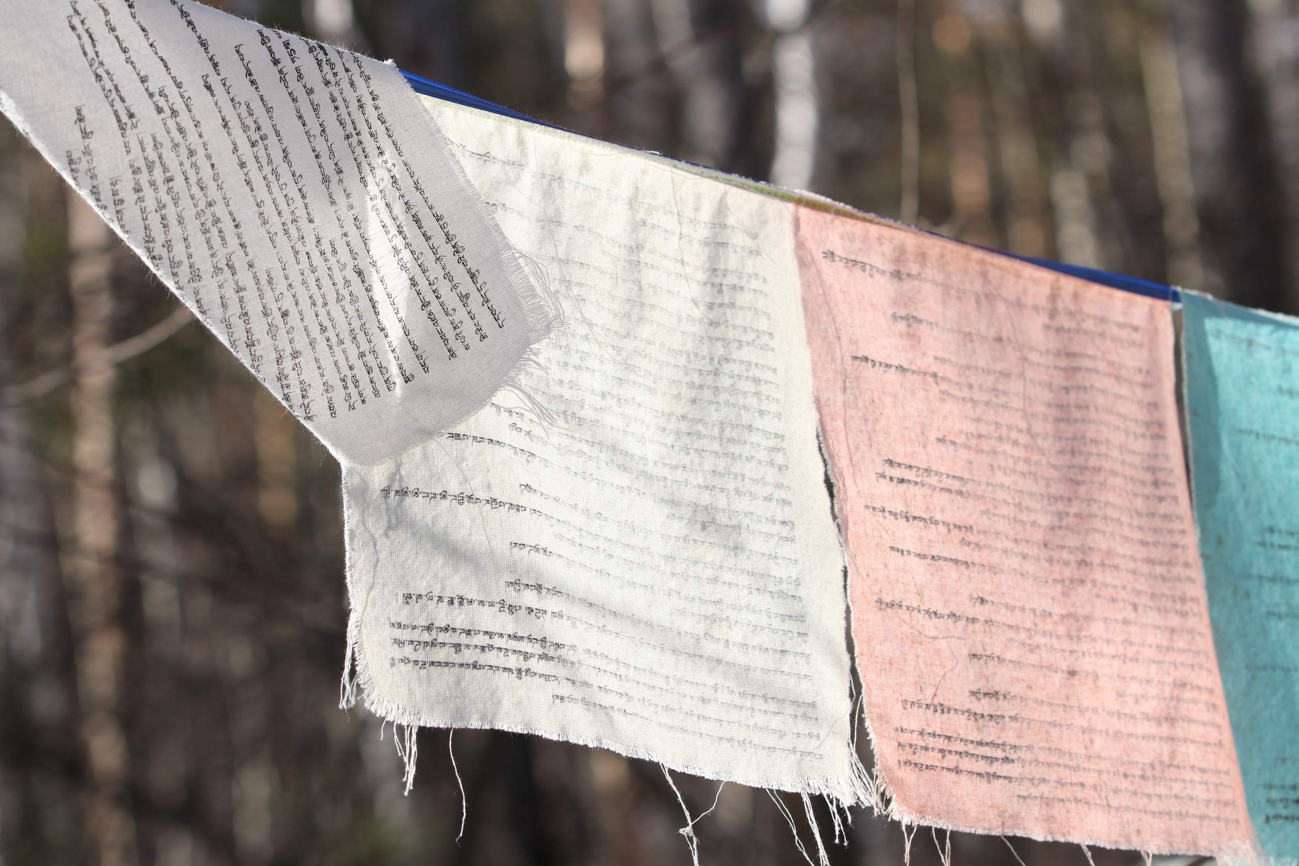 Аршан. Февраль 2025. Путешественник-фотограф из Санкт-Петербурга Татьяна Свистулина