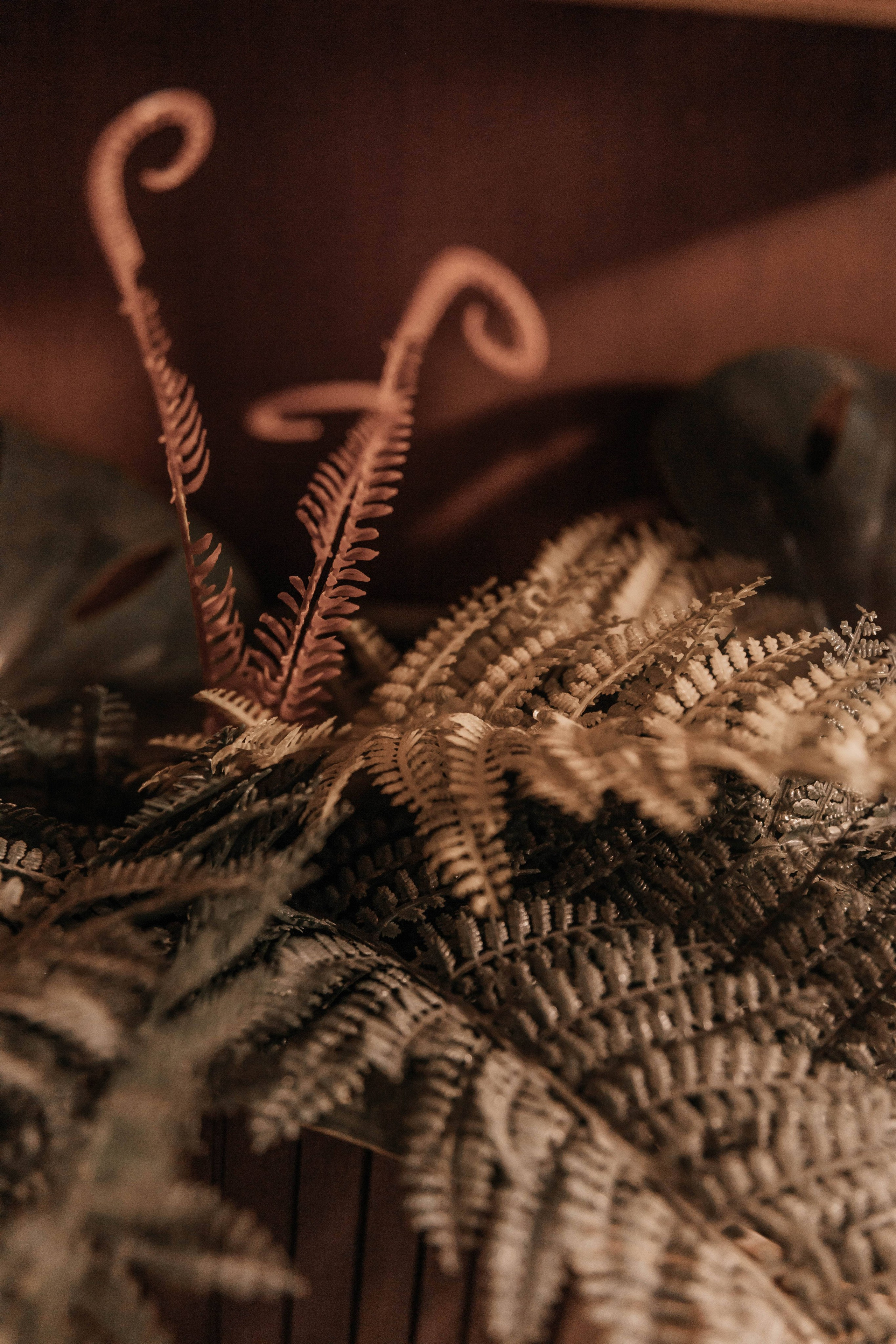 Моя студия BabyN. Фотограф новорожденных Москва, Люберцы, Жуковский, Раменское