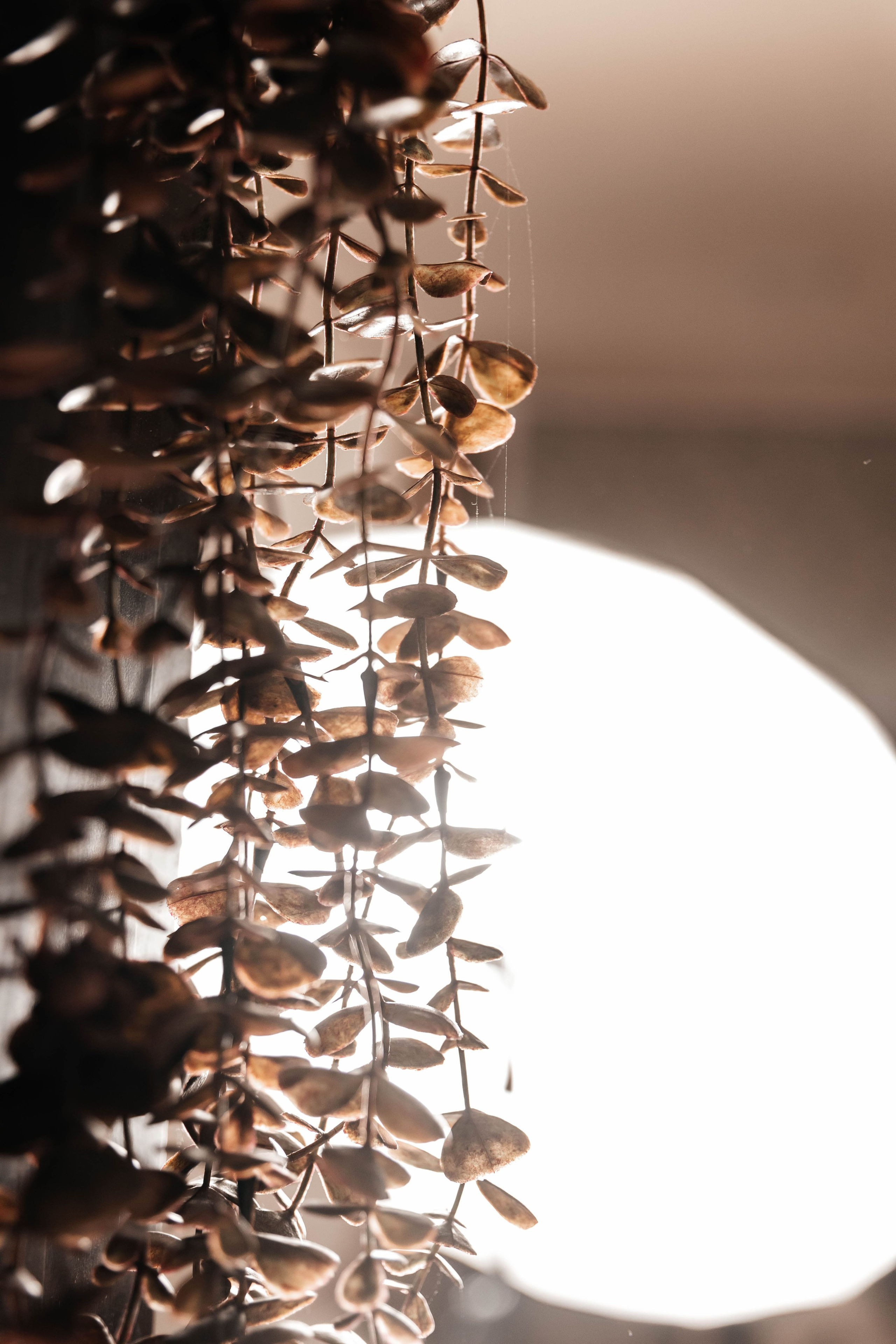 Моя студия BabyN. Фотограф новорожденных Москва, Люберцы, Жуковский, Раменское