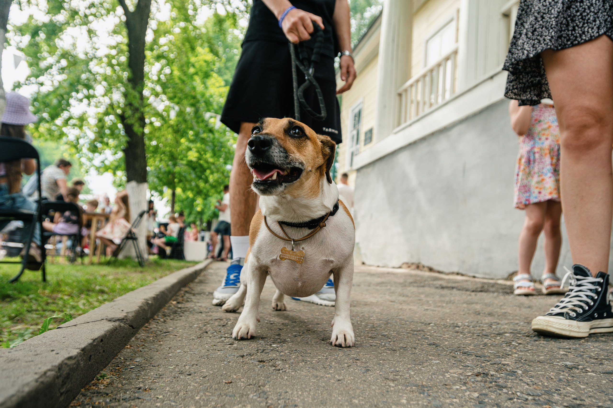 Фестиваль еды и музыки «Бульвар» Ульяновск. Творческий и репортажный фотограф в Москве Клим Долгов