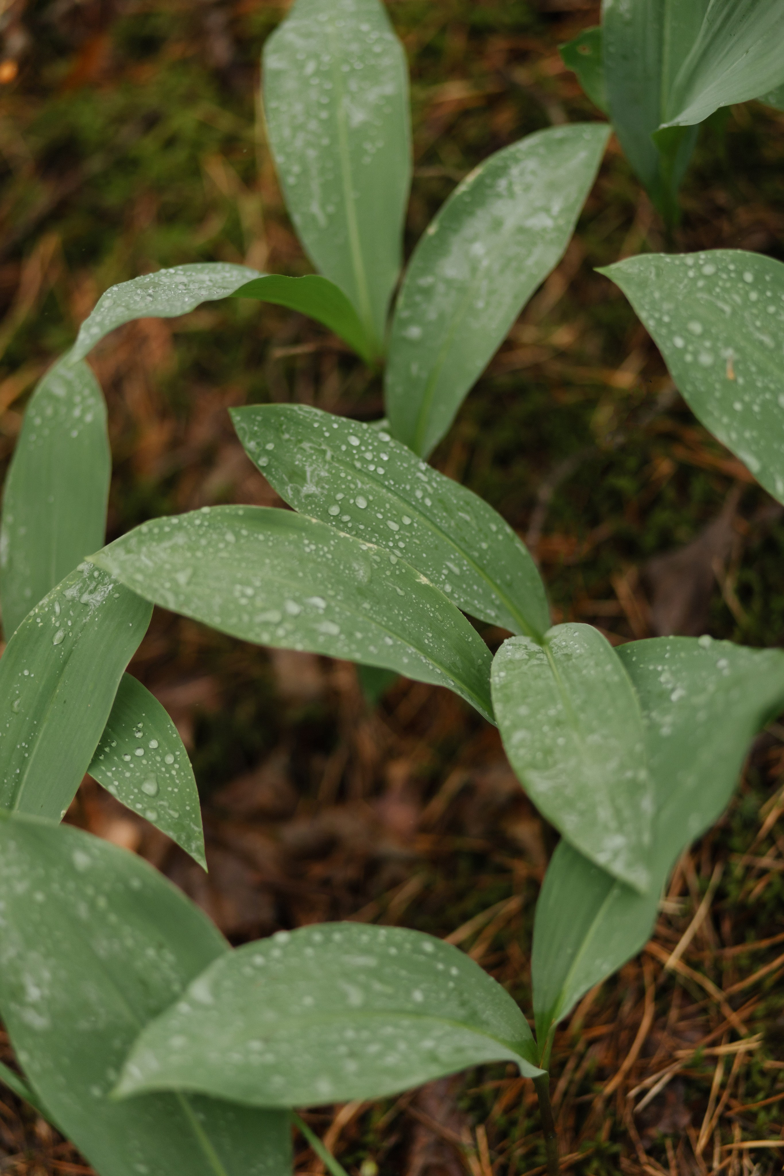 Профессиональная видео и фото съёмка в Калуге и области