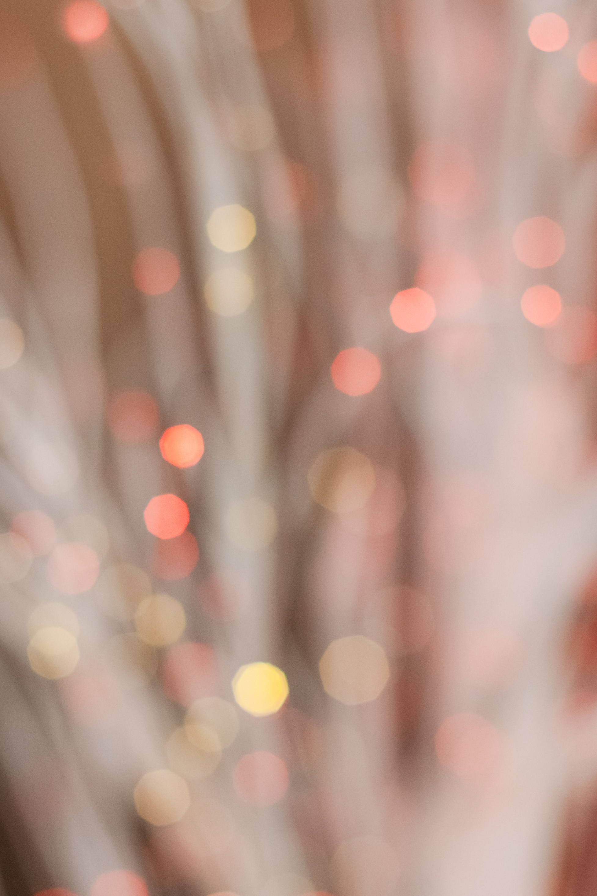 Бульёлка 2024. Фотограф-анималист Татьяна Степанова