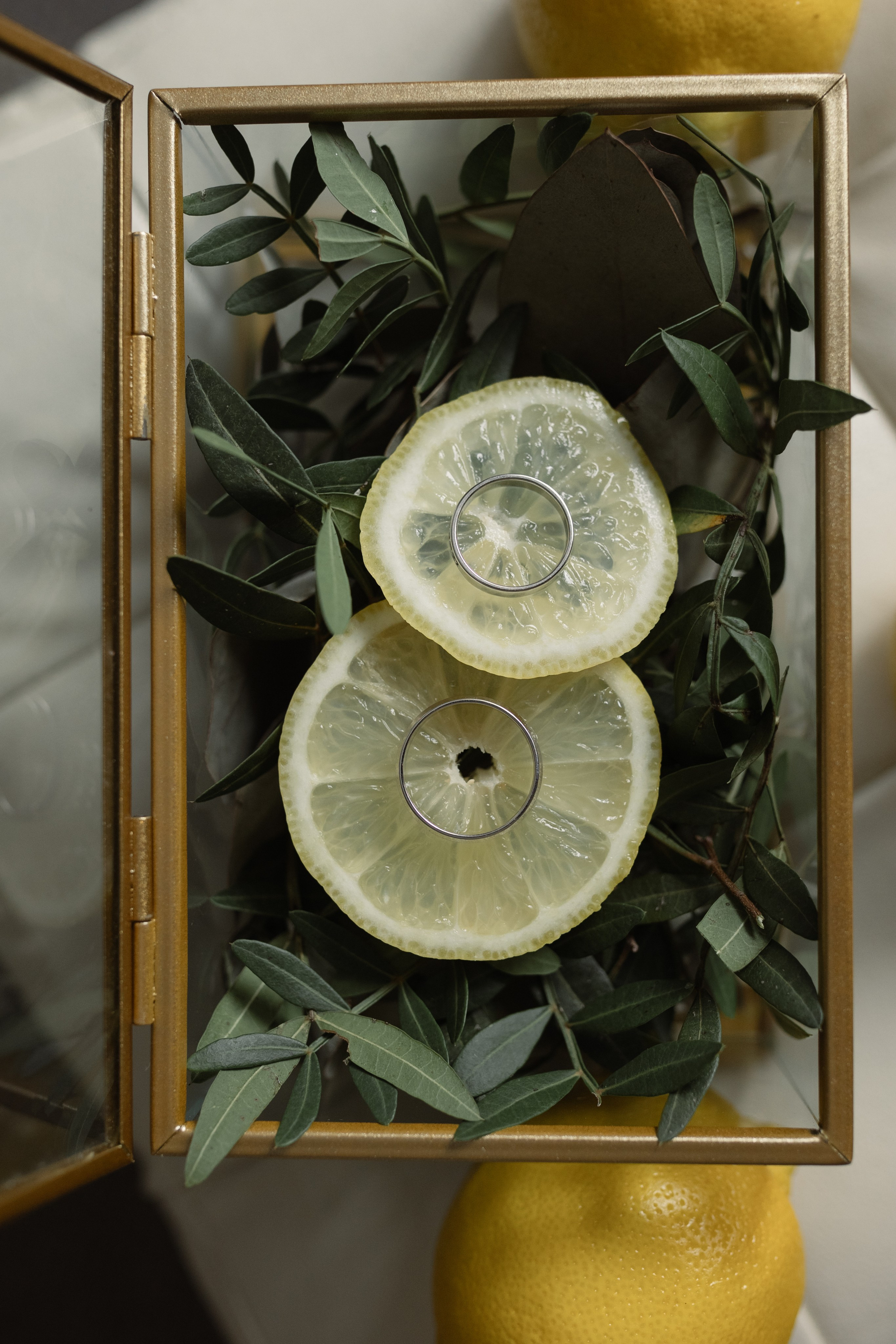 Дарья и Максим. Свадебный фотограф Курск Максим Ноздрачев