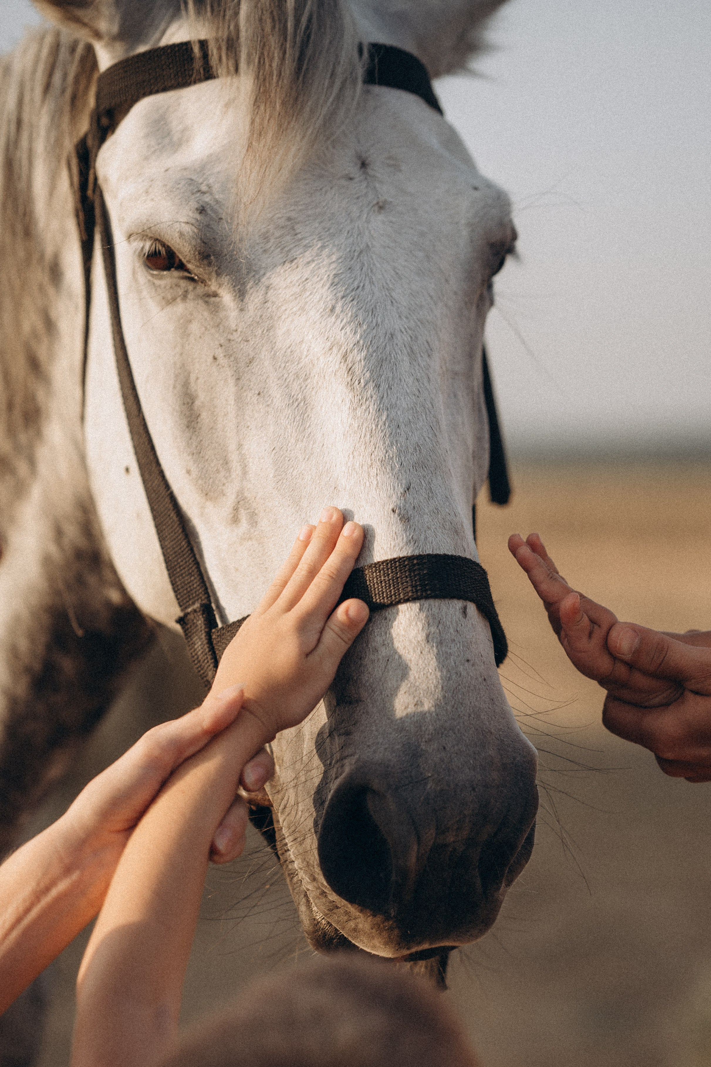 Александр, Ольга, Лева и Маша. Фотограф Горбенко Анна