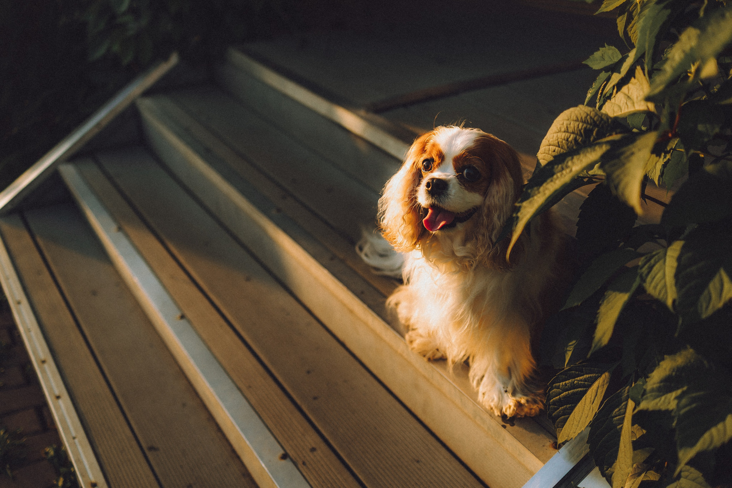 Наташа и Вики