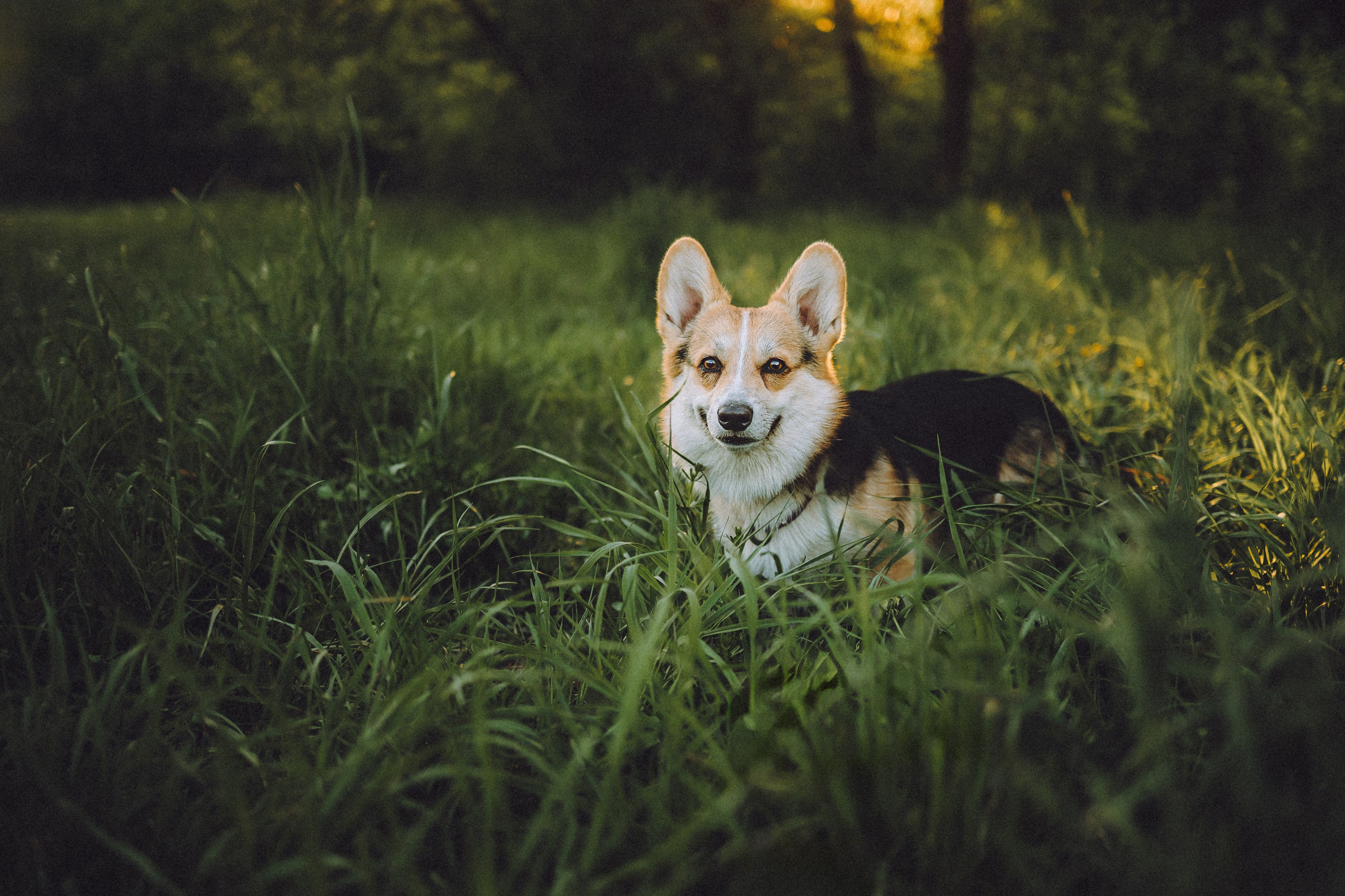 Илай, Зайка и их семья