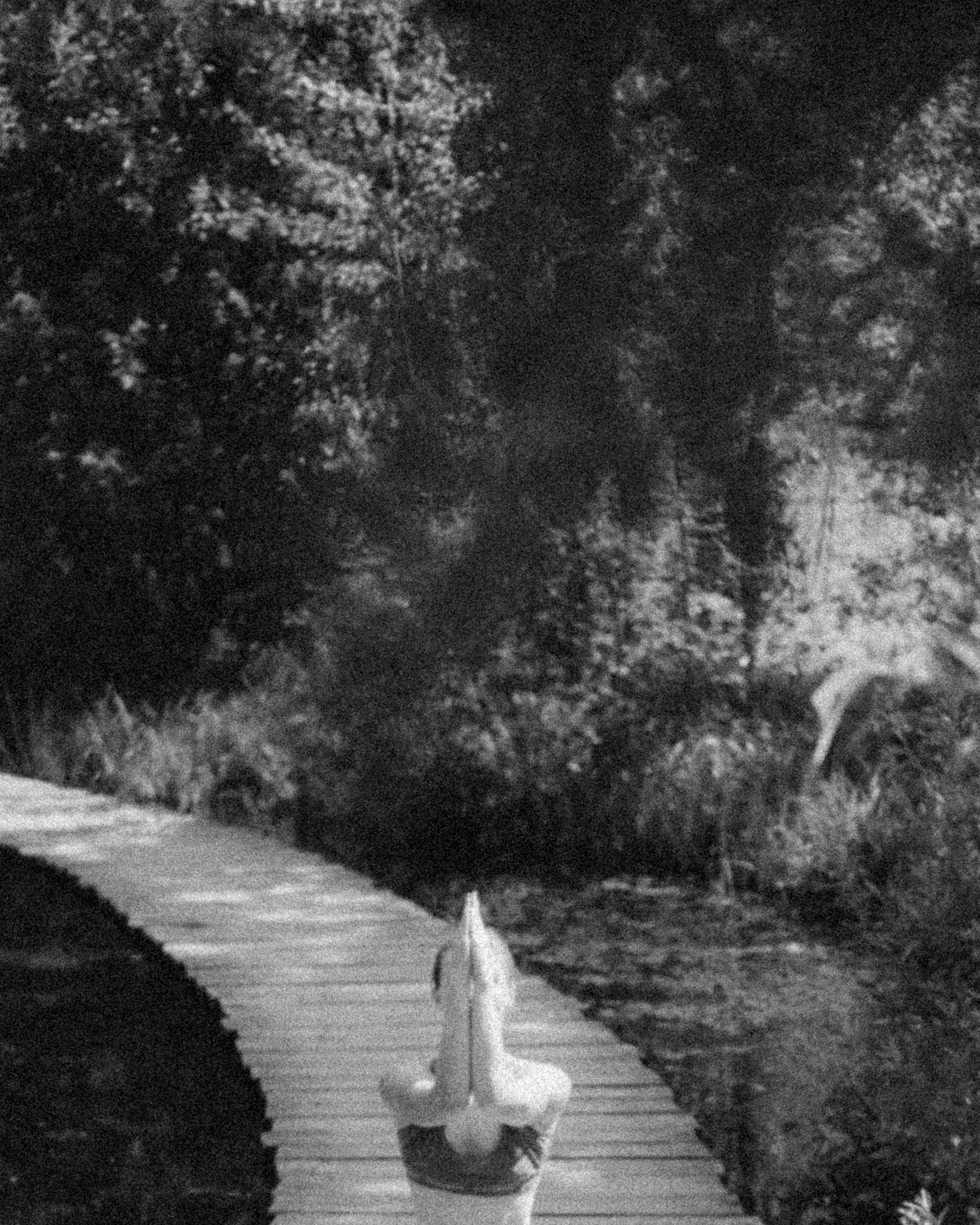 Мила. Юлия Кулиш // Pocahontas