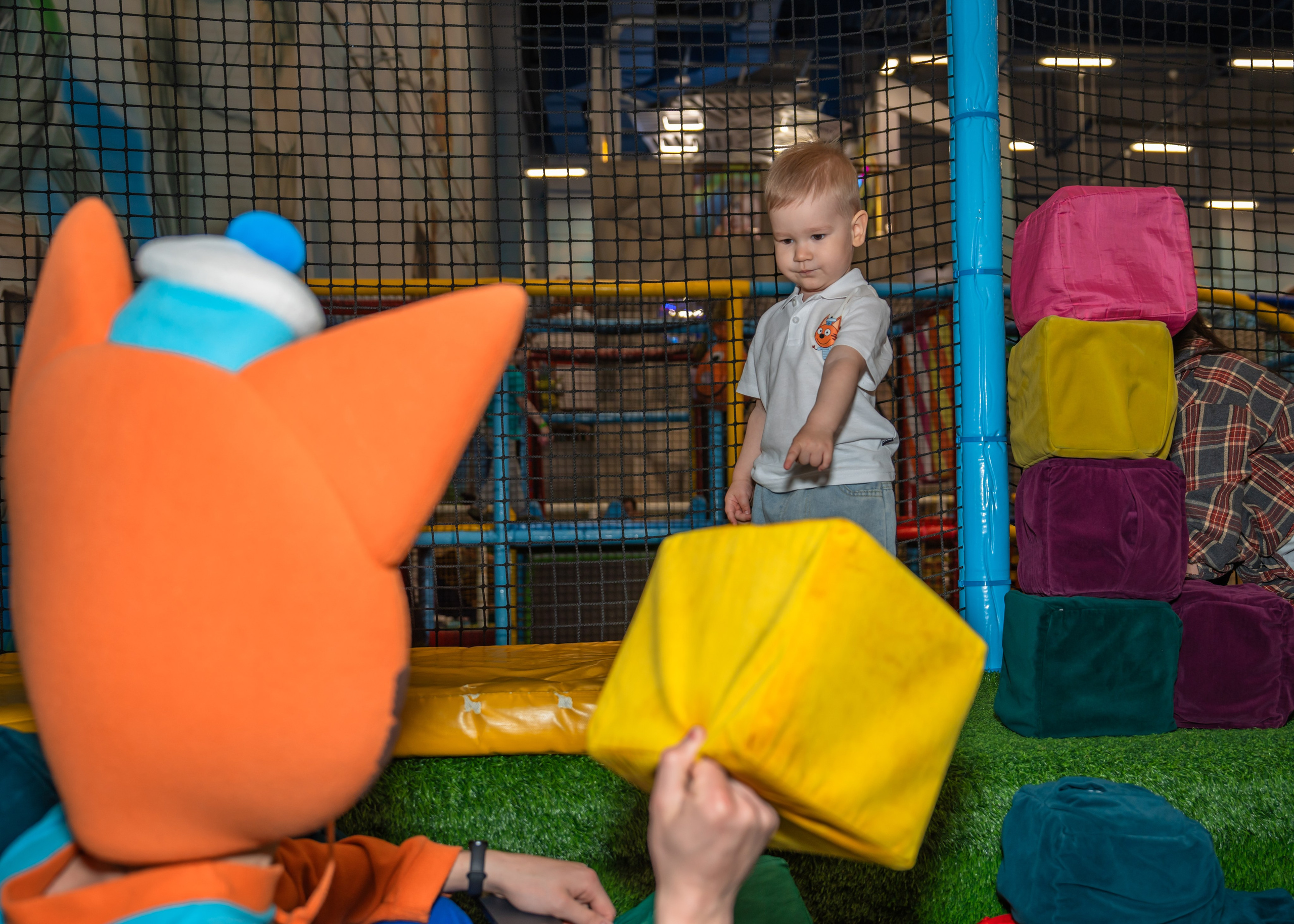 Коржик в Joki Joya. Крамер Юлиана детский и семейный фотограф