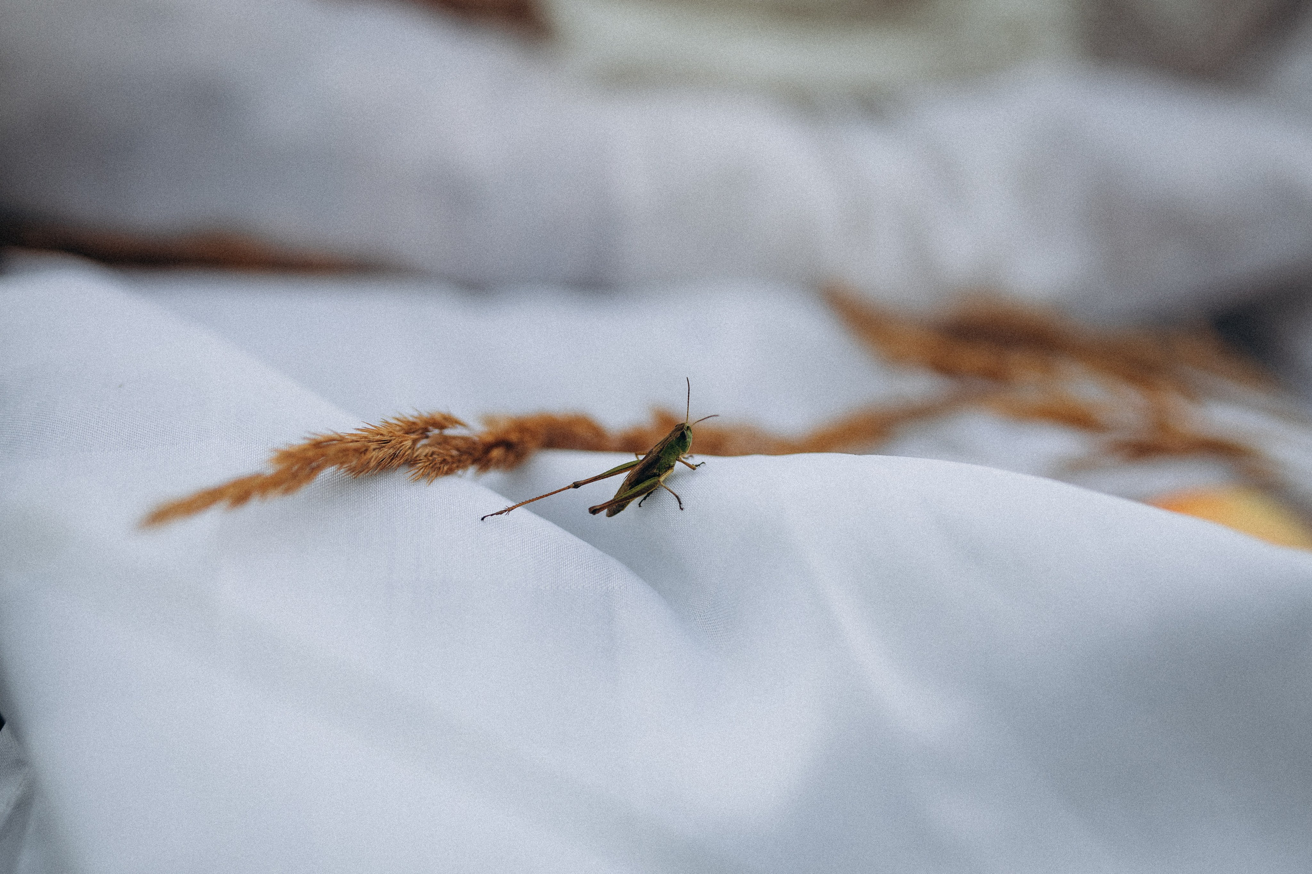 Рассвет. Семейный фотограф в Москве и Люберцах Юлия Гуськова