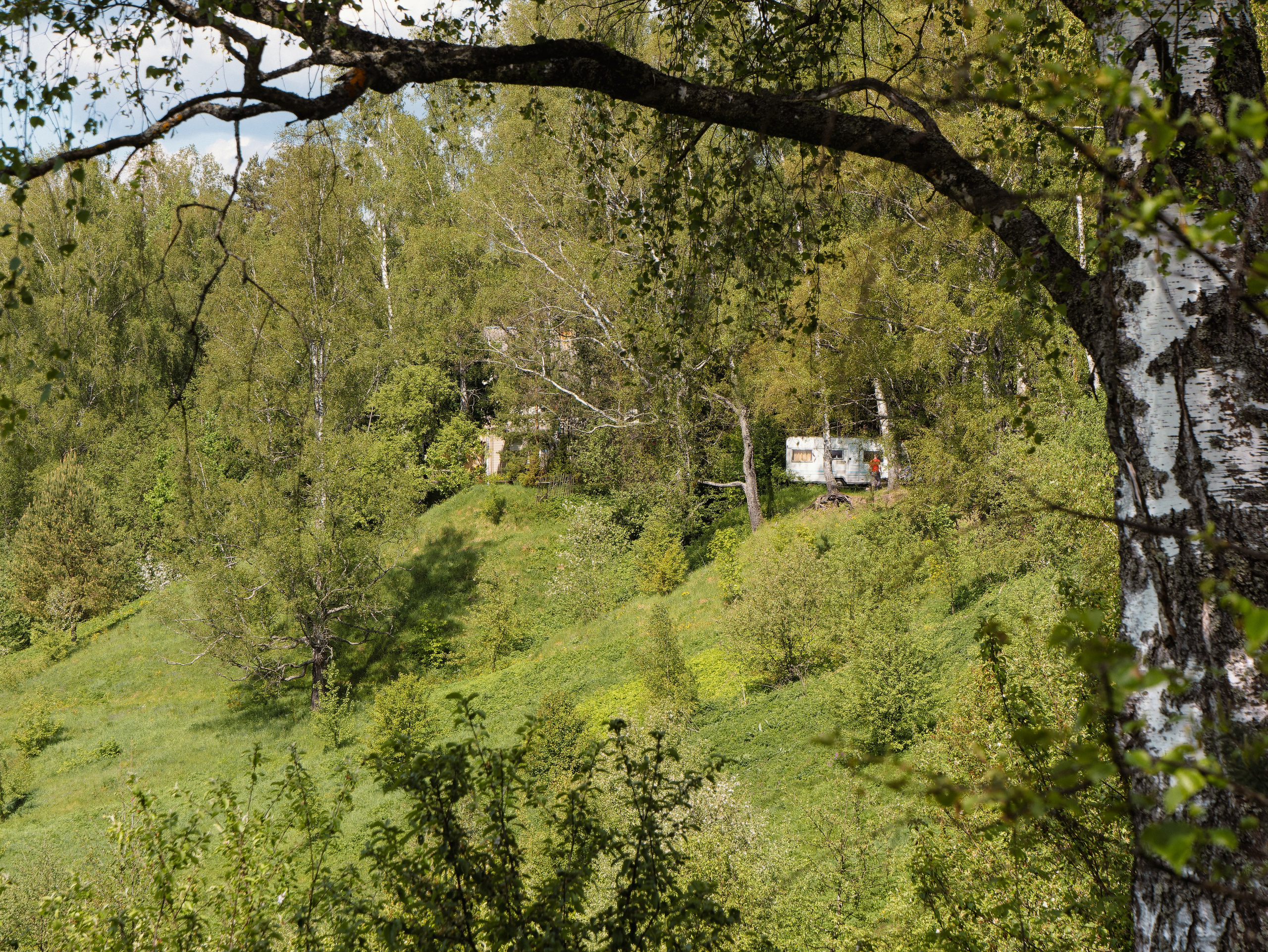 На берегу Угры. Конец мая 2024 года. Фотограф Никифоров-Гордеев Сергей. Москва и МО