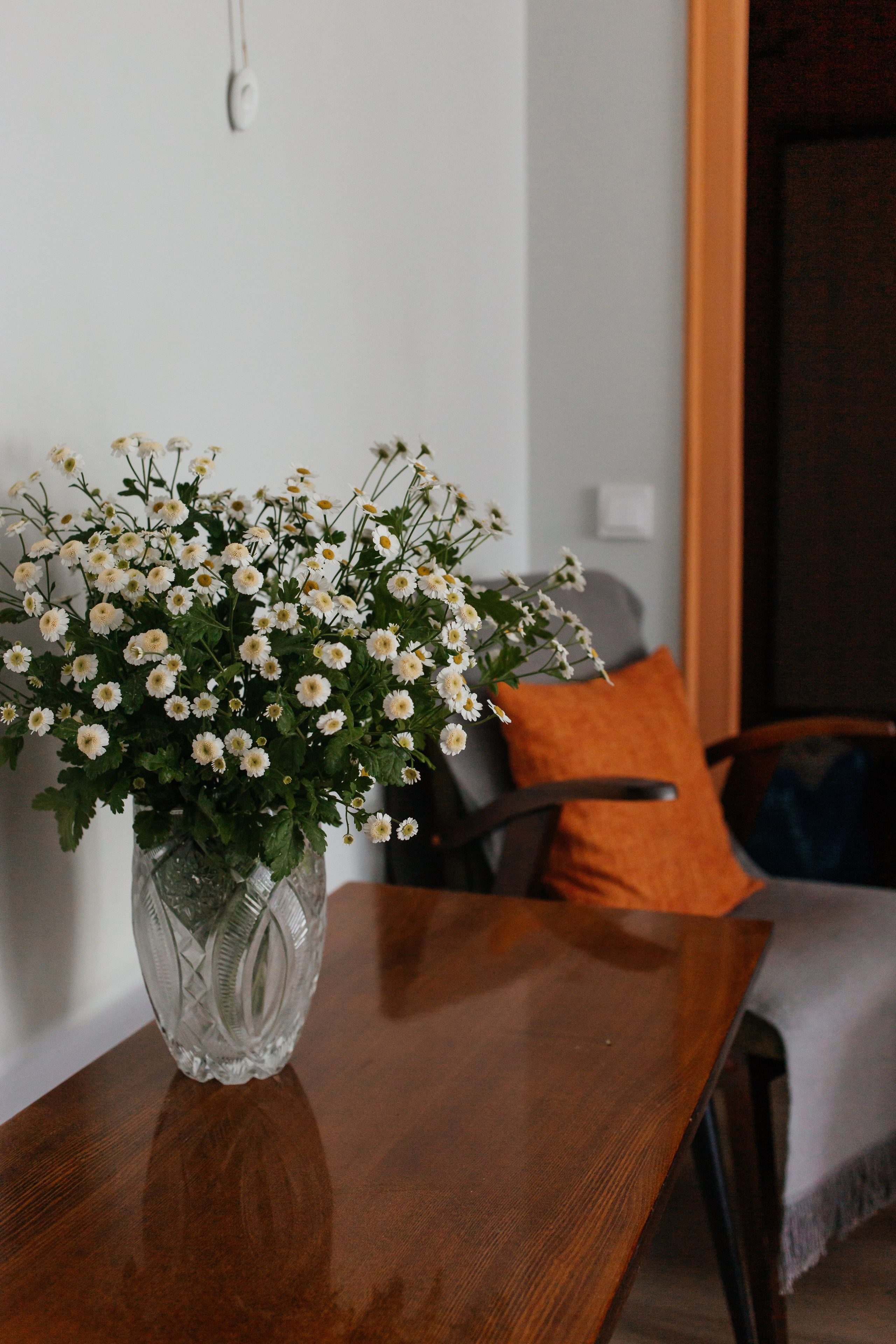 Двухкомнатная ретро. Репортажный фотограф Анастасия Головко