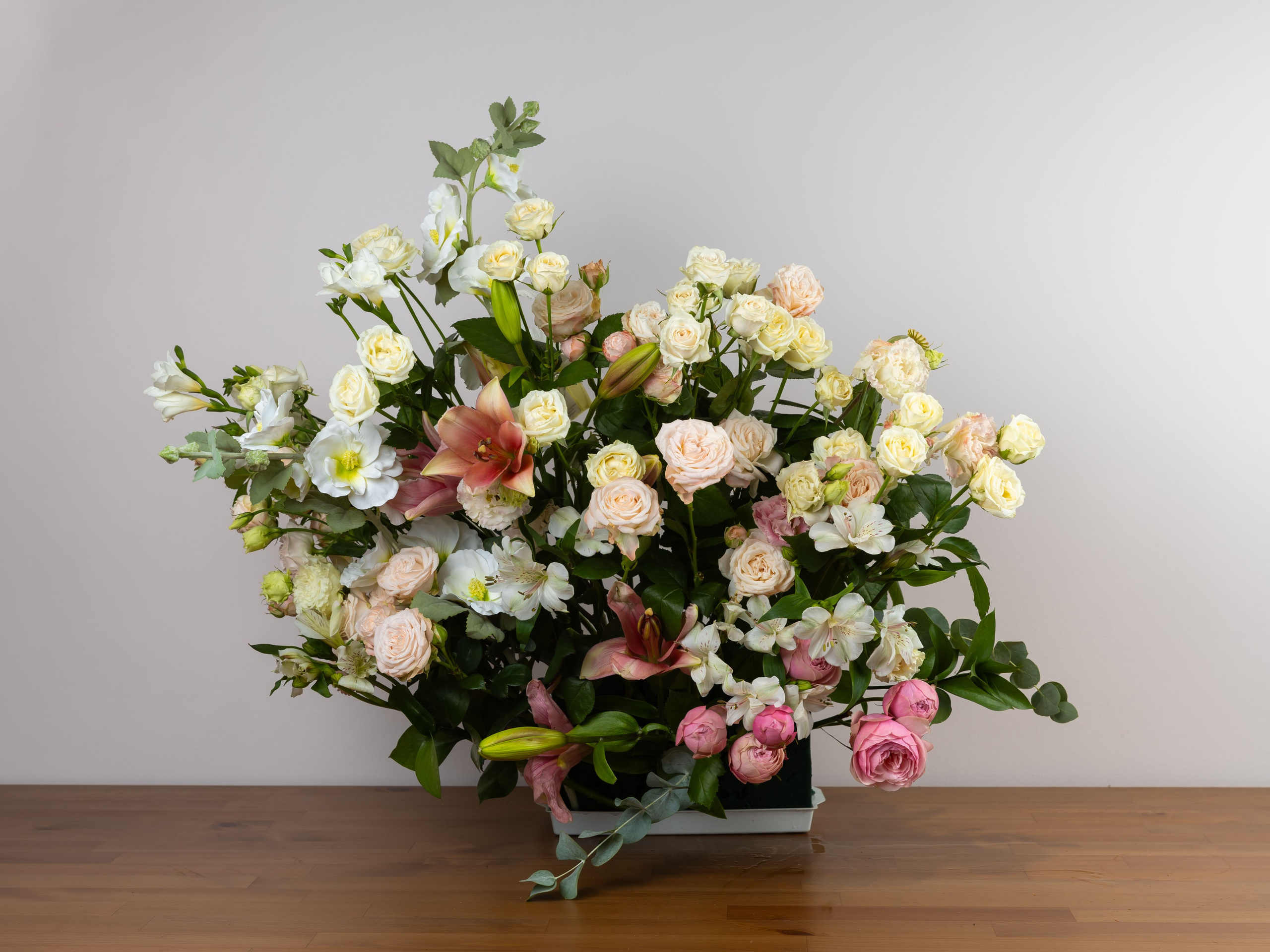 01.08.2025 Фотосессия Цветополис. ФОТОГРАФ ВИНОГРАДОВА ДАРЬЯ