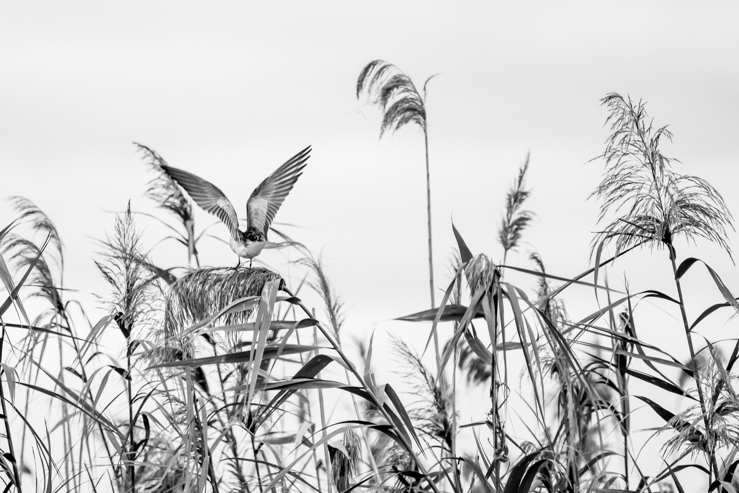 Природа Дагестана, сентябрь 2024. Foto-Zuev фотография как искусство