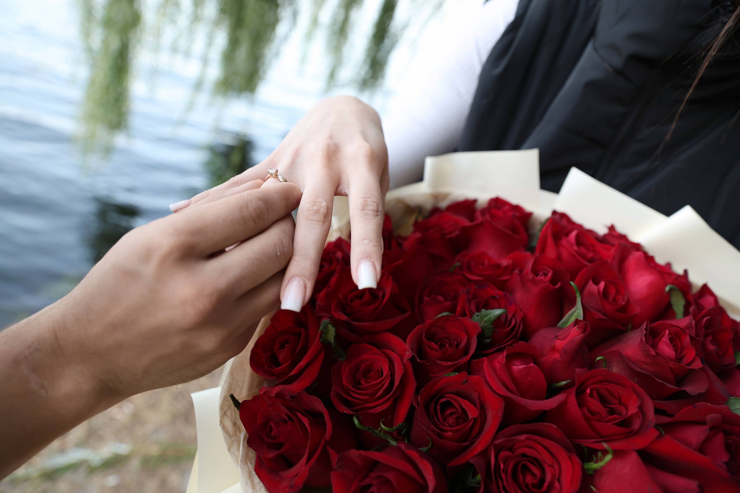 Предложение. Парк Щербакова. Яна Чхан — Фотограф в Донецке и не только