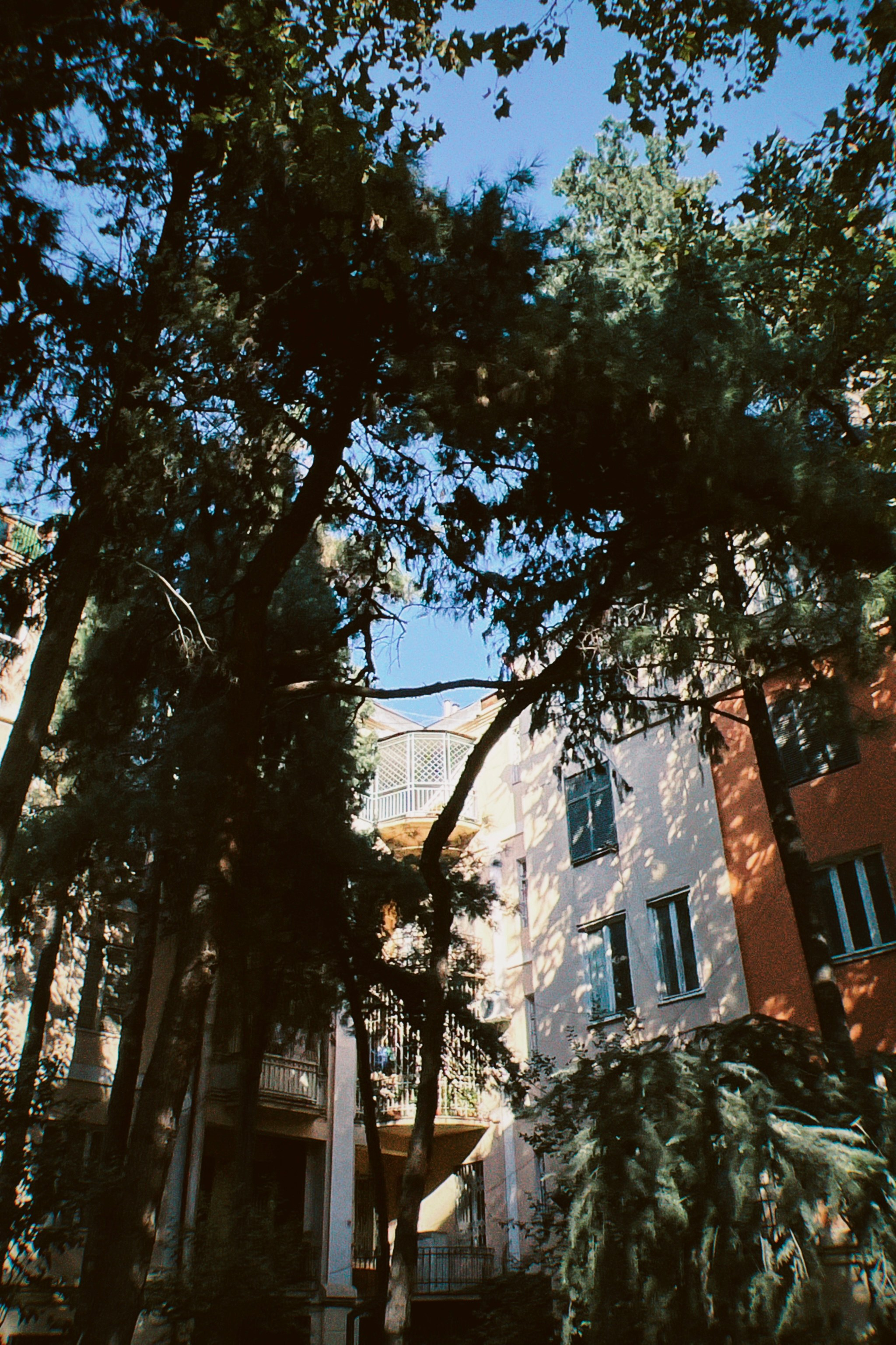 Визуальный дневник. Портретный фотограф в Москве Гахраманова Екатерина