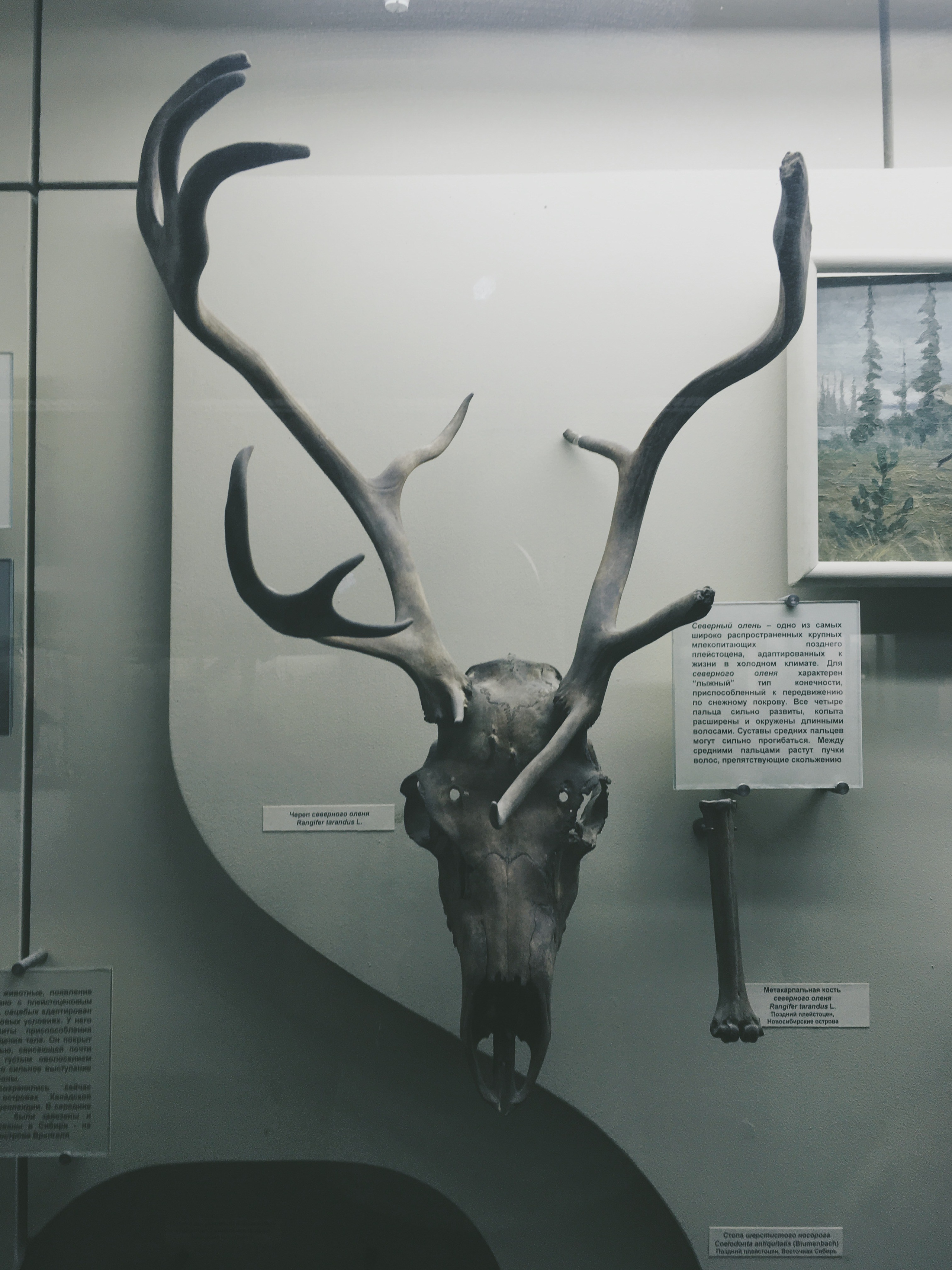 Визуальный дневник. Портретный фотограф в Москве Гахраманова Екатерина