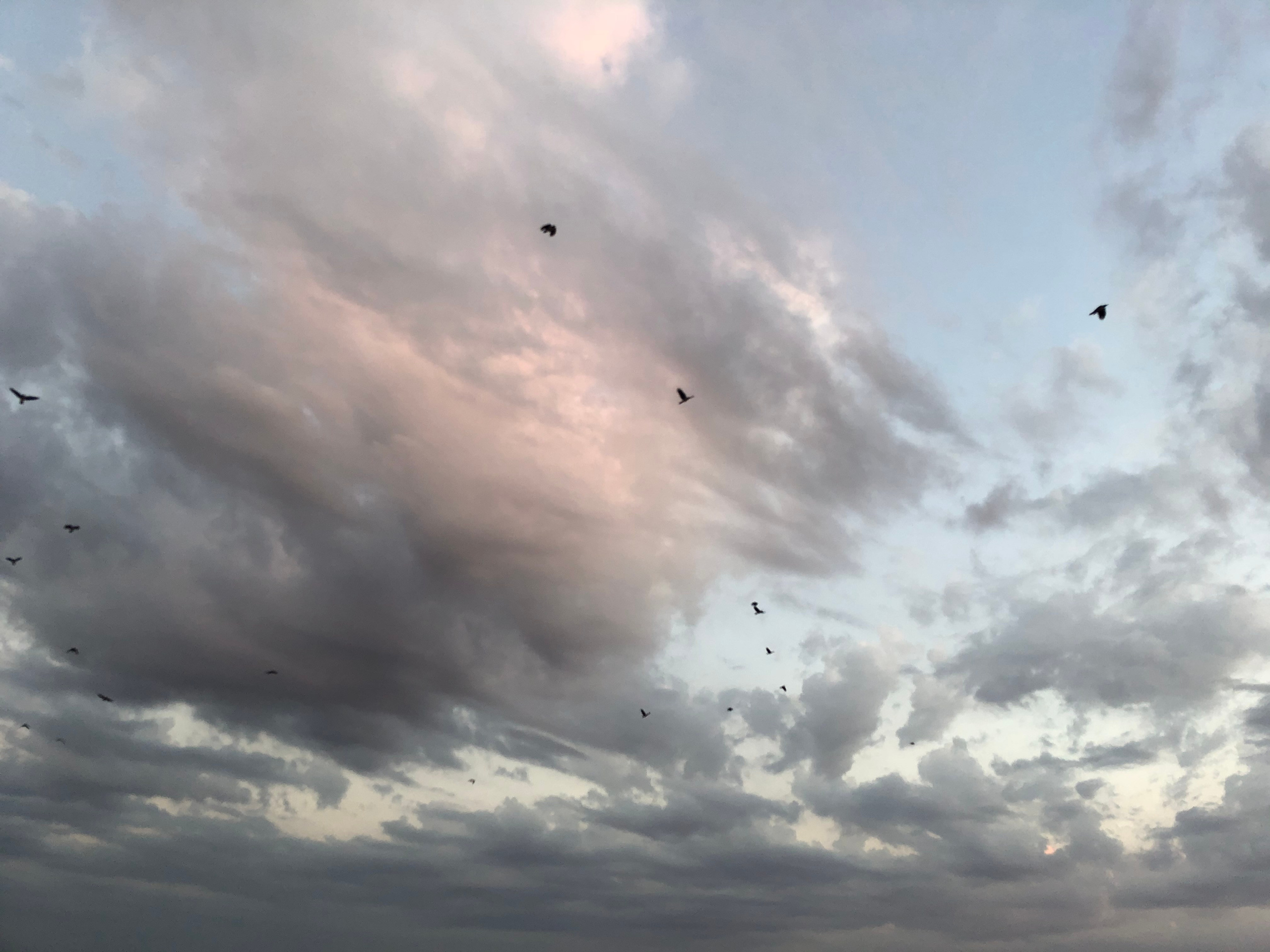 Визуальный дневник. Портретный фотограф в Москве Гахраманова Екатерина