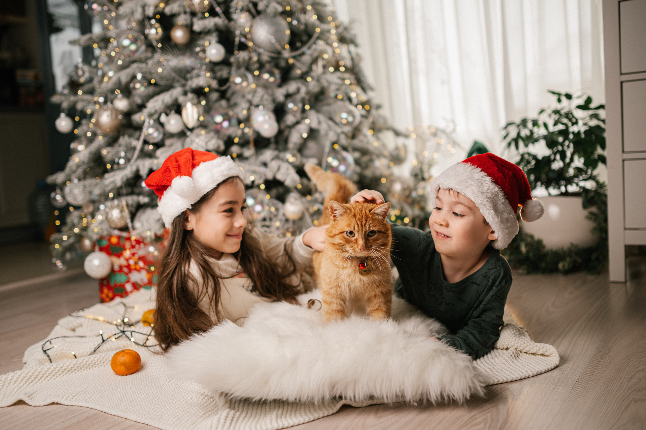 Семья. Семейный, детский и newborn фотограф в г. Дмитров Марина Русакевич