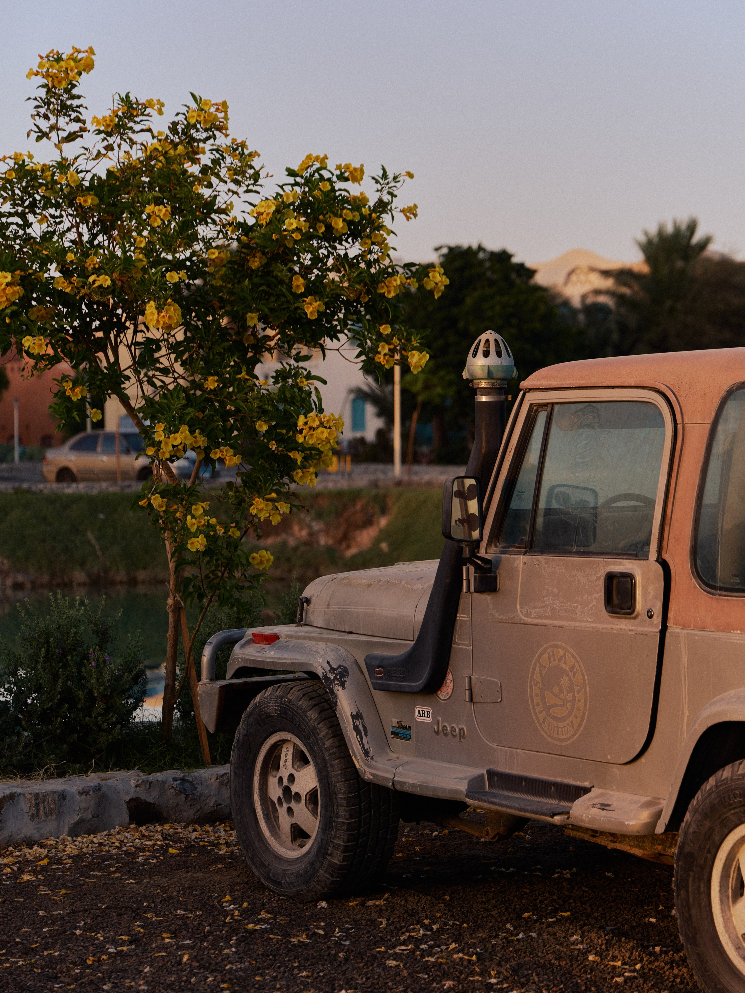 Другое 3. Jorgis — фотограф в Хургаде / обучение фотографии