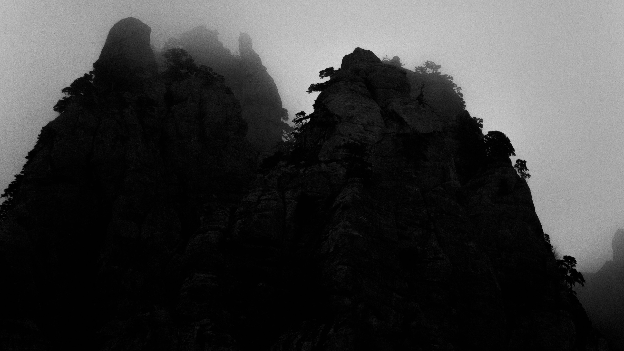 Точка черного. Сафонов Владислав, фотохудожник