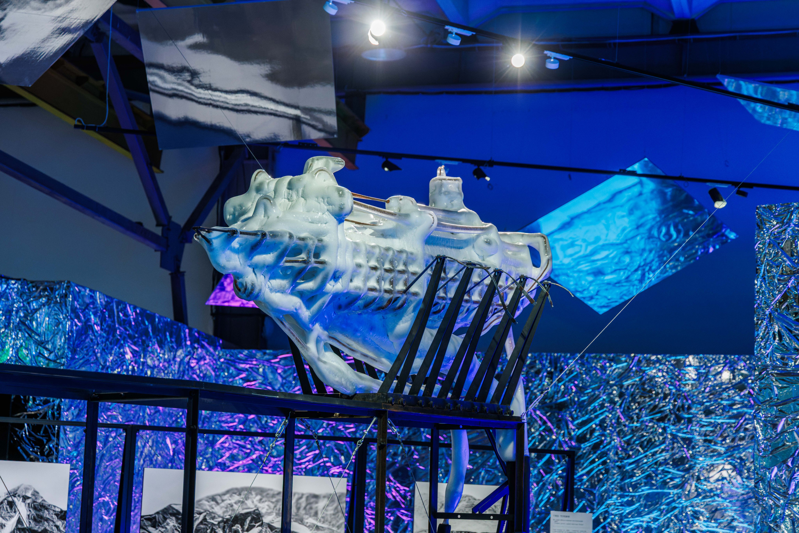 Лед. Жизнь — познавательно-развлекательная выставка. Фотограф Балаев Михаил