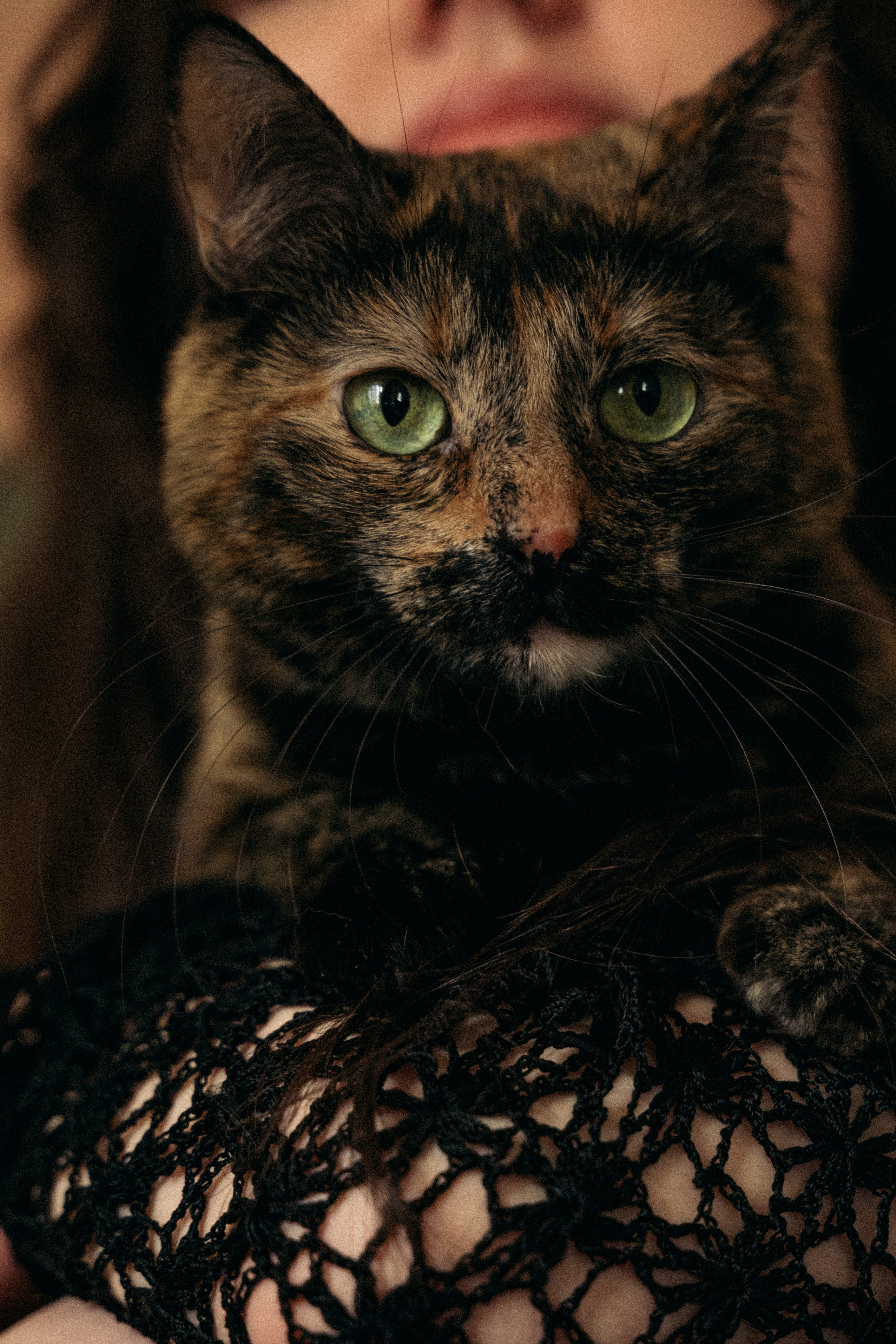 Хочешь я тебе спою?. Главная