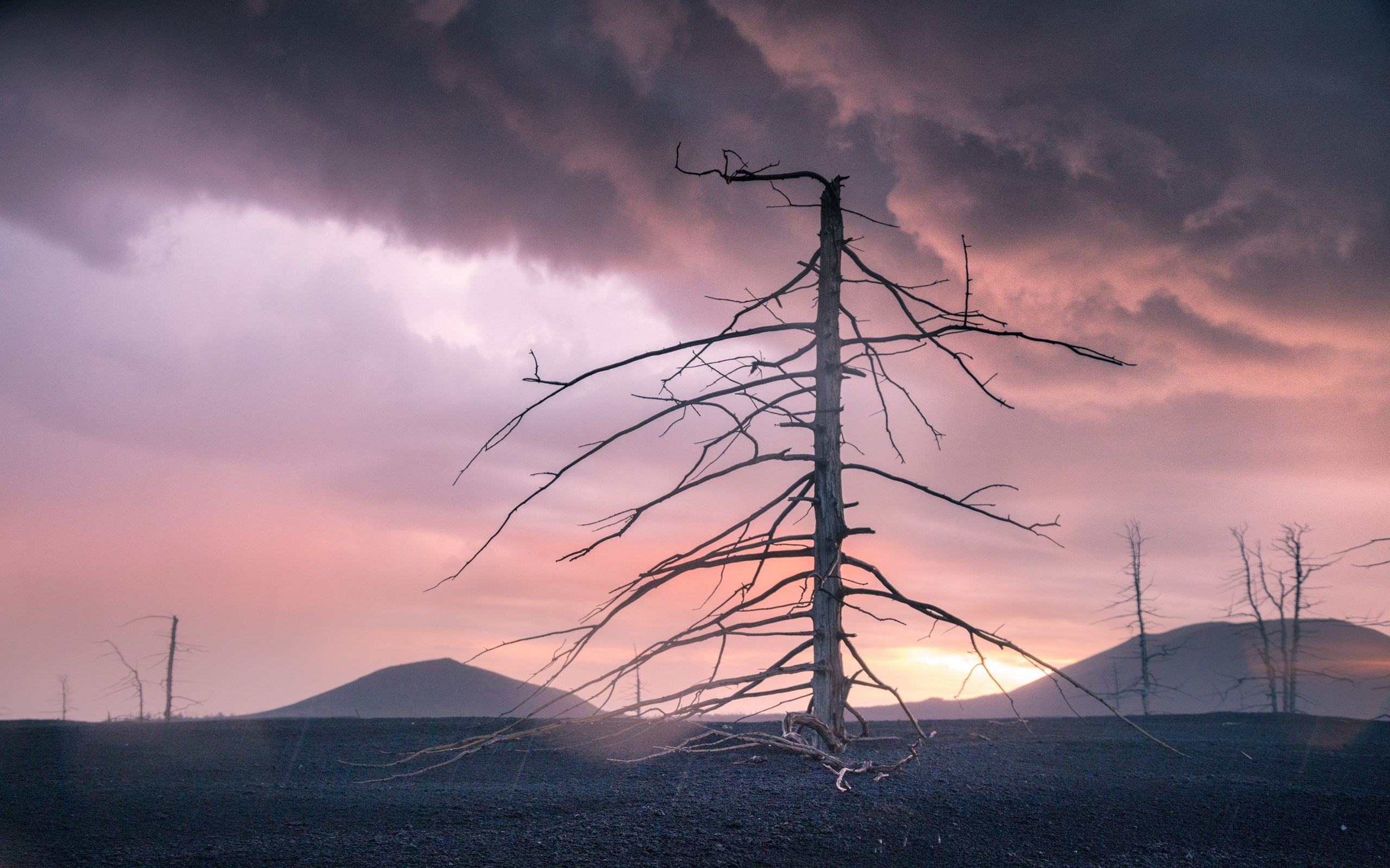 Камчатка. Фотограф Владимир Медведев