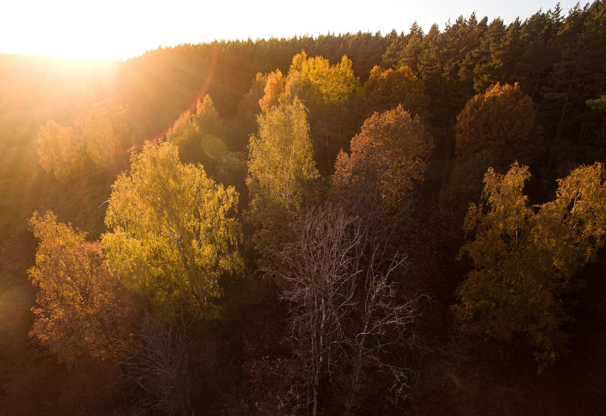 Средняя полоса России. Фотограф Владимир Медведев