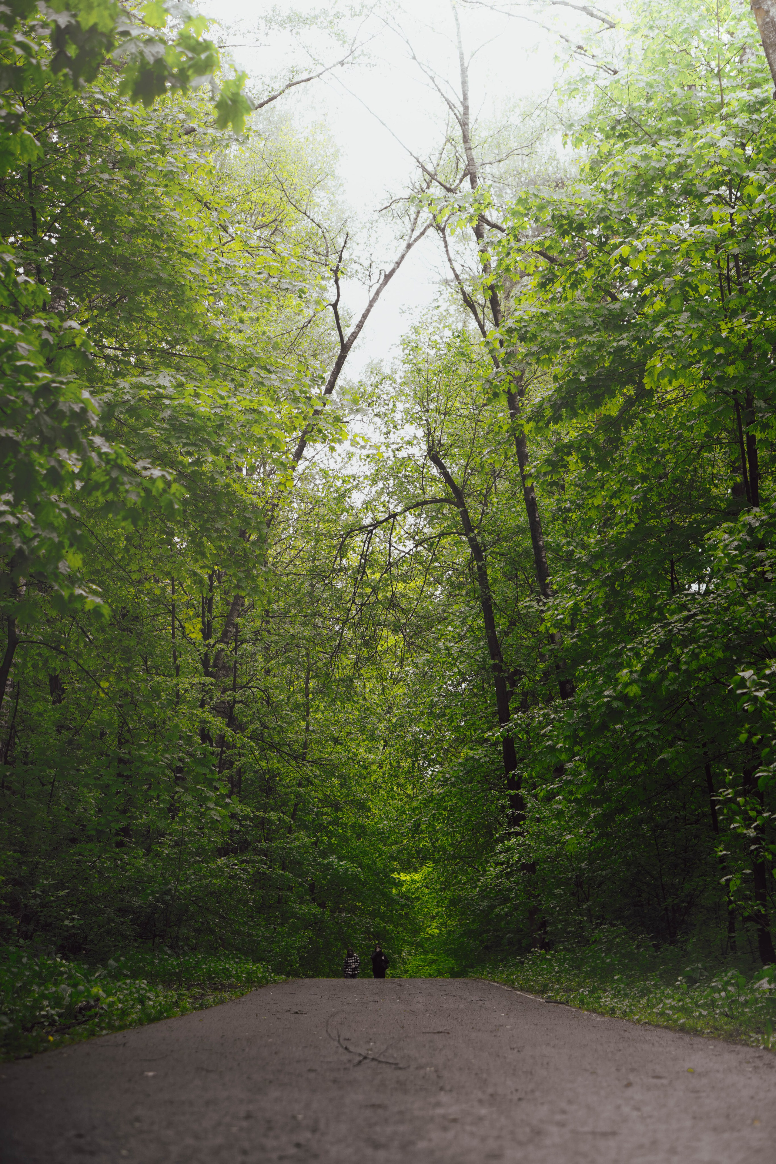 Уличная съёмка (2). Видео и Фото