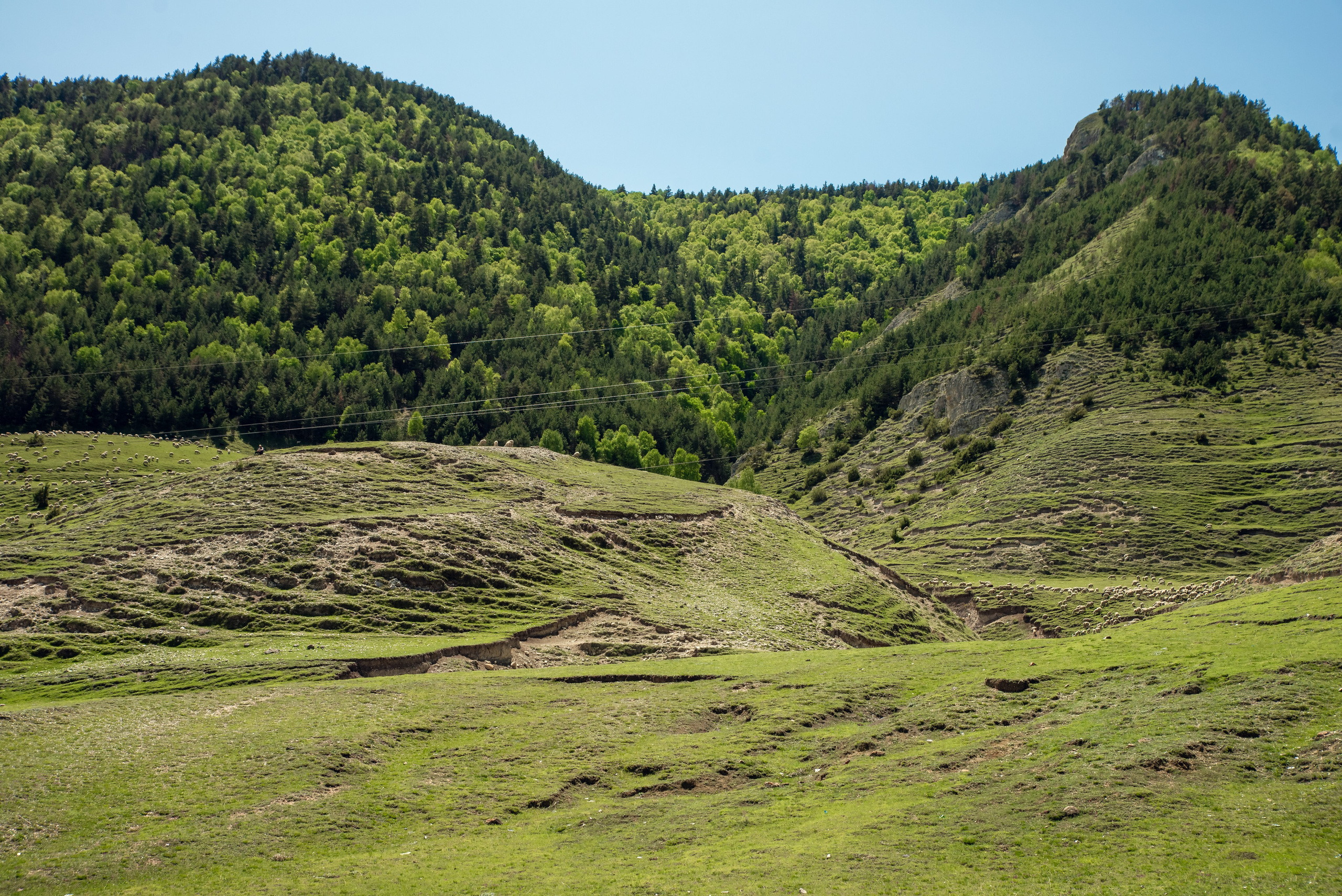 Дагестан. Фотограф Крещение Венчание Москва