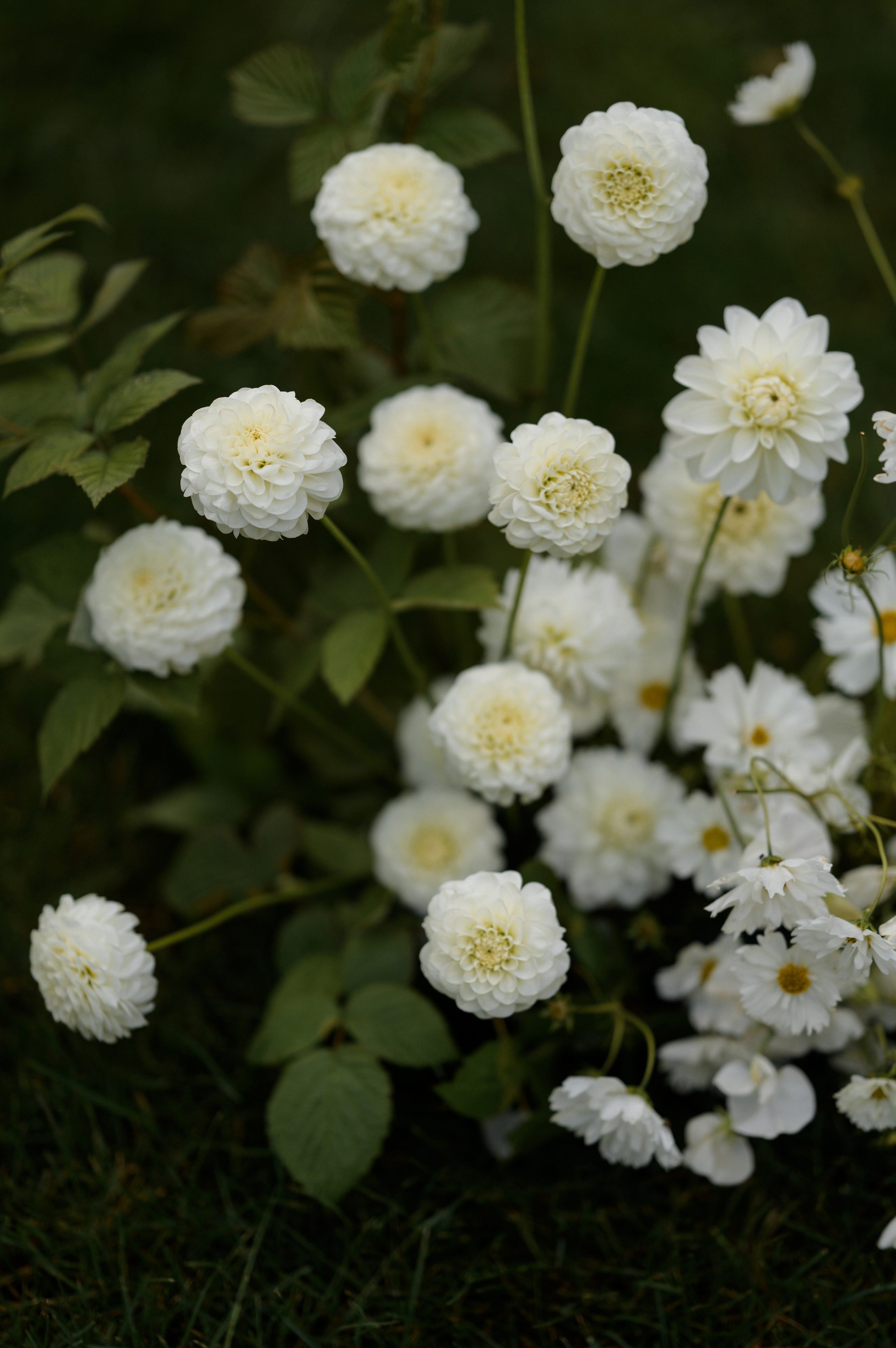 Еще сильнее я в тебя все равно не влюблюсь. VENSKAYA WEDDING & EVENT PLANNER