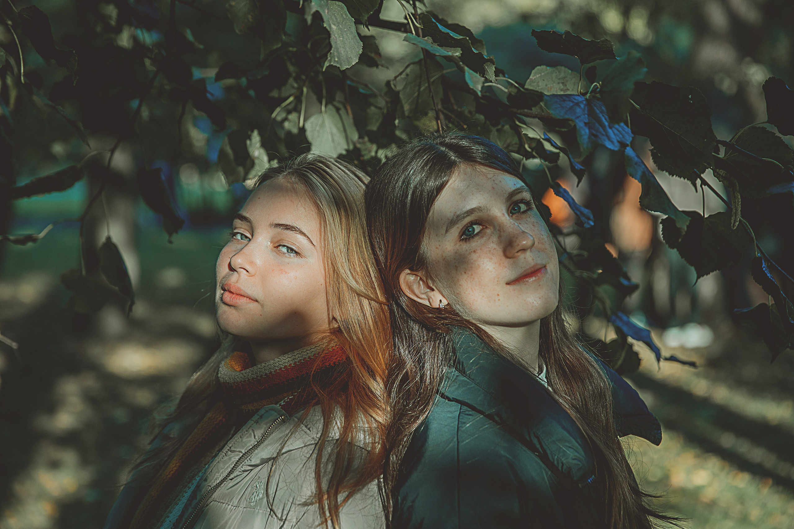 11 класс. Главная