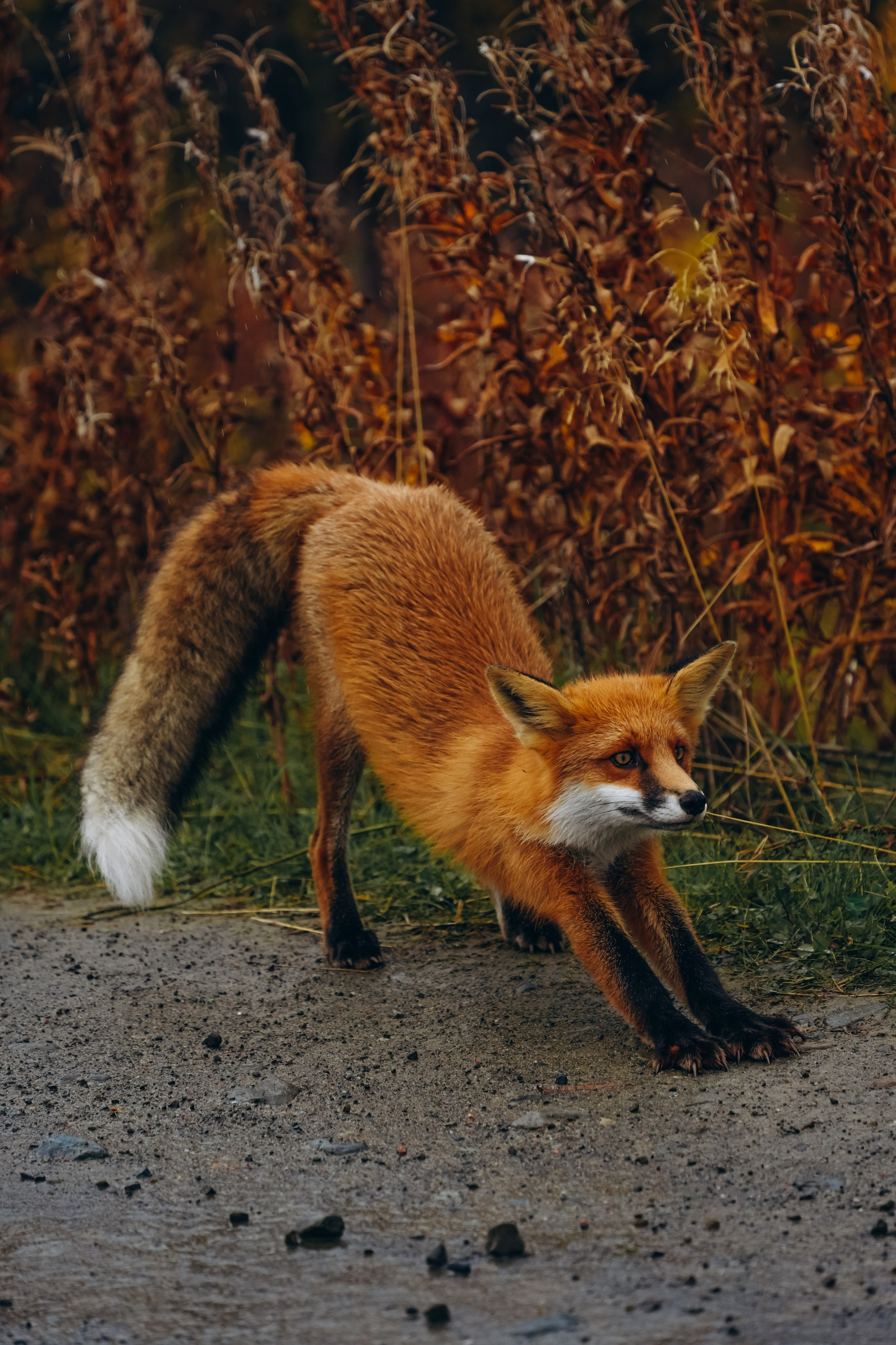СЕВЕР. Event фотограф Степанова Александра