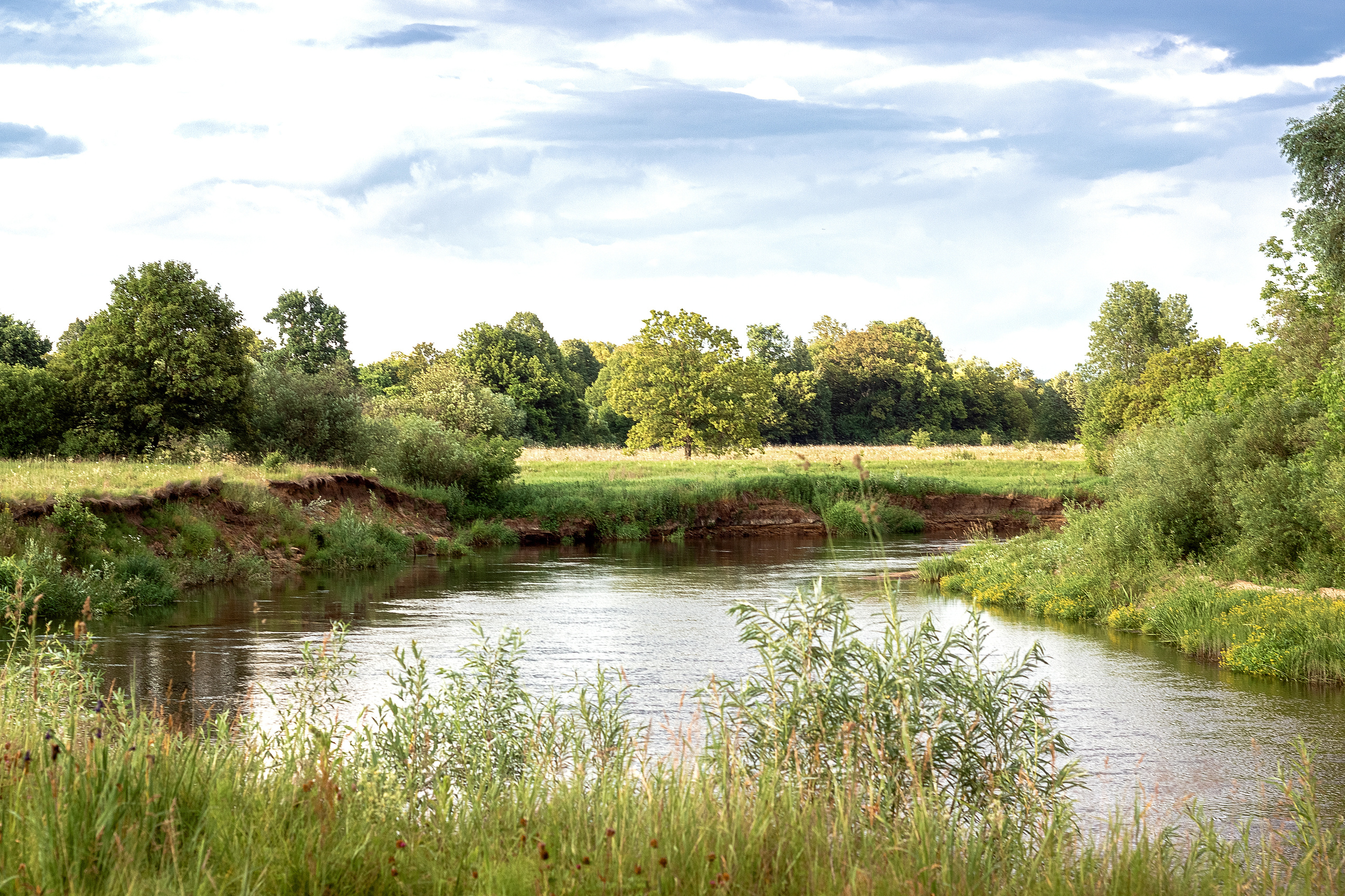 Природа пейзаж. Семейная и свадебный фотограф в Брянске Галина Медведкова