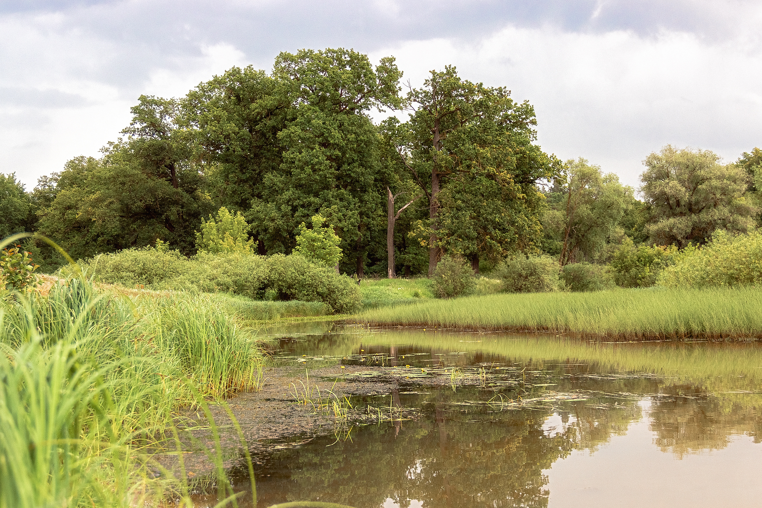 Природа пейзаж. Семейная и свадебный фотограф в Брянске Галина Медведкова