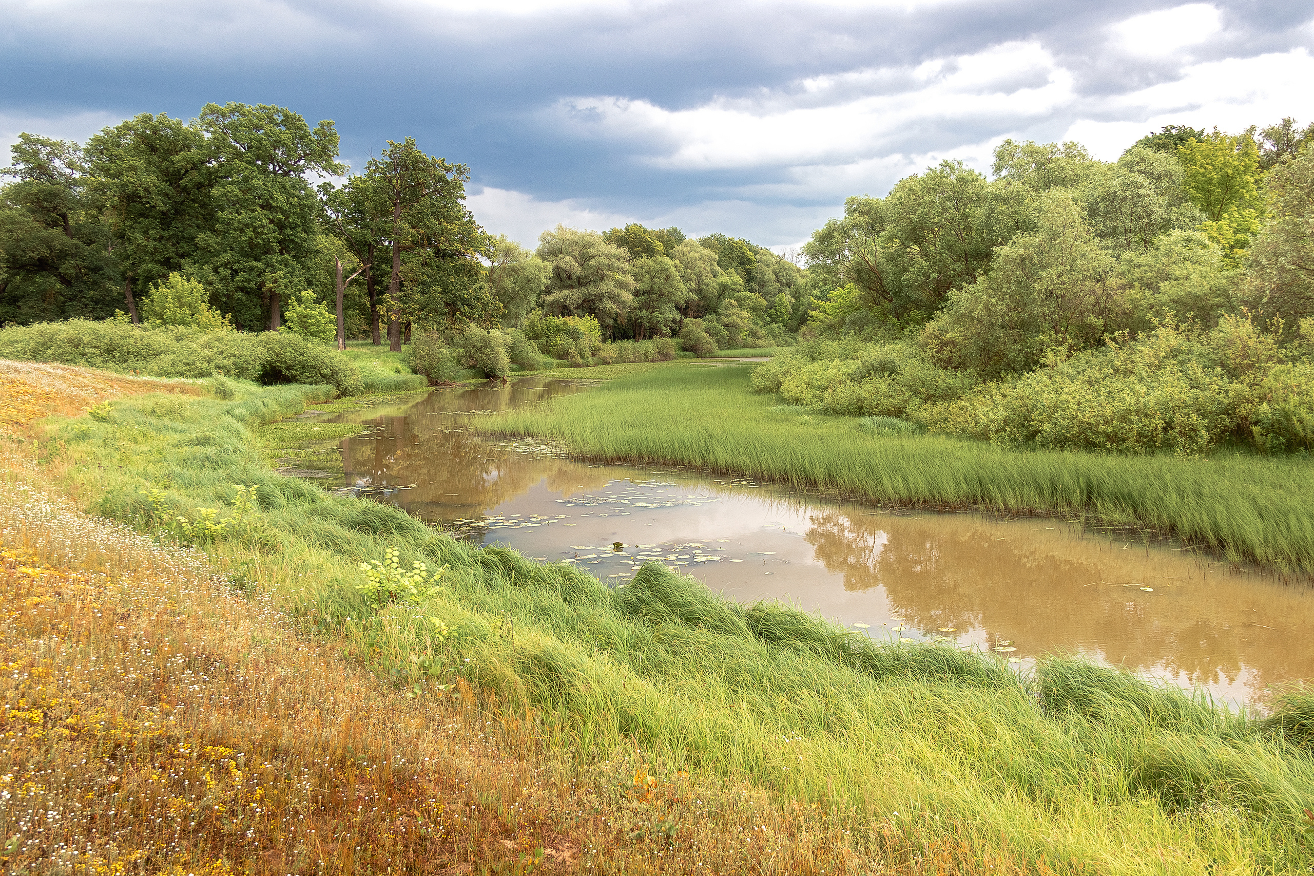 Природа пейзаж. Семейная и свадебный фотограф в Брянске Галина Медведкова
