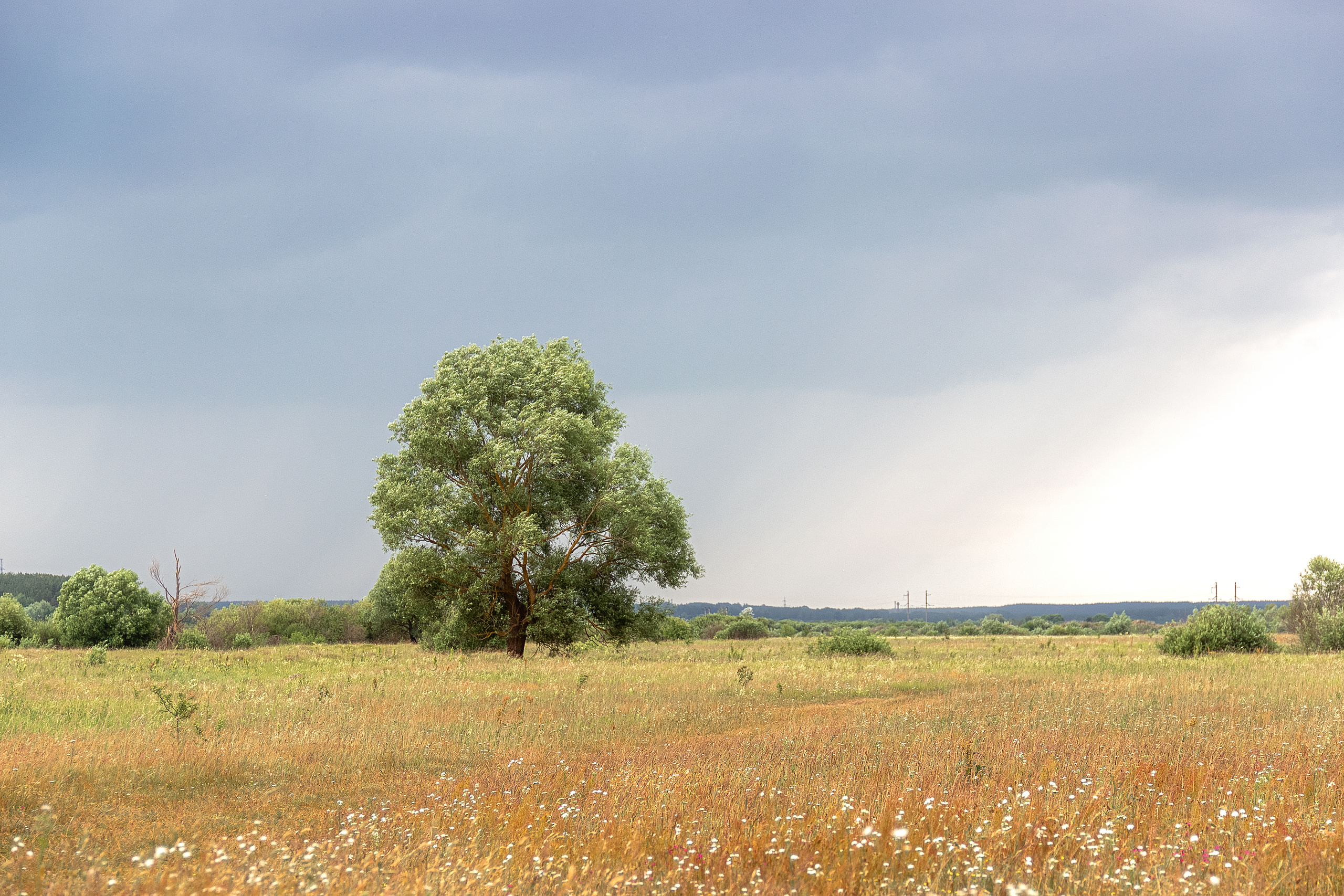 Природа пейзаж. Семейная и свадебный фотограф в Брянске Галина Медведкова
