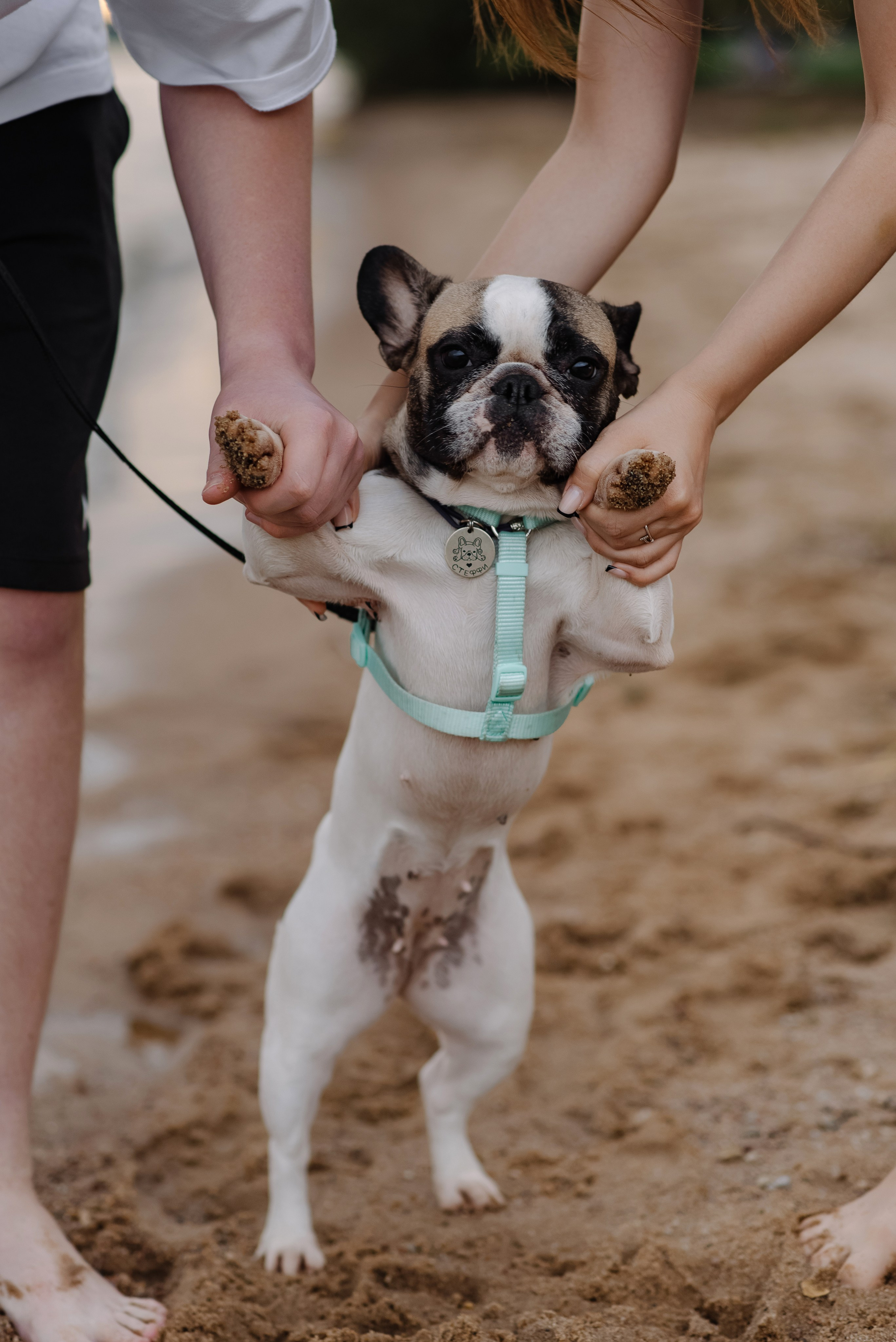 С любимым другом. Фотограф Минск Катерина Кирик