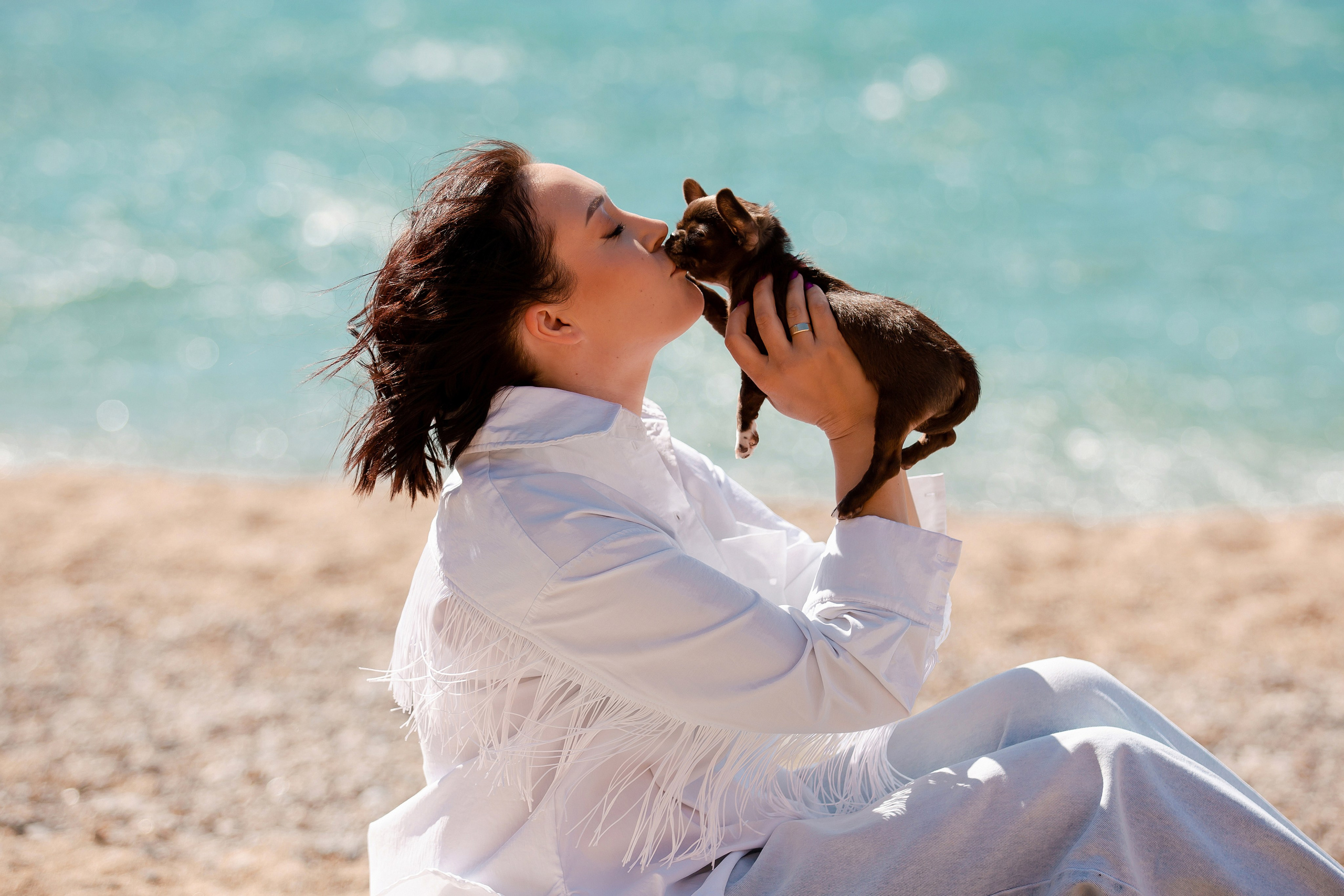 Веймаранер и чихуахуа в Крыму. Фотограф-анималист в Краснодаре Маша Мельникова