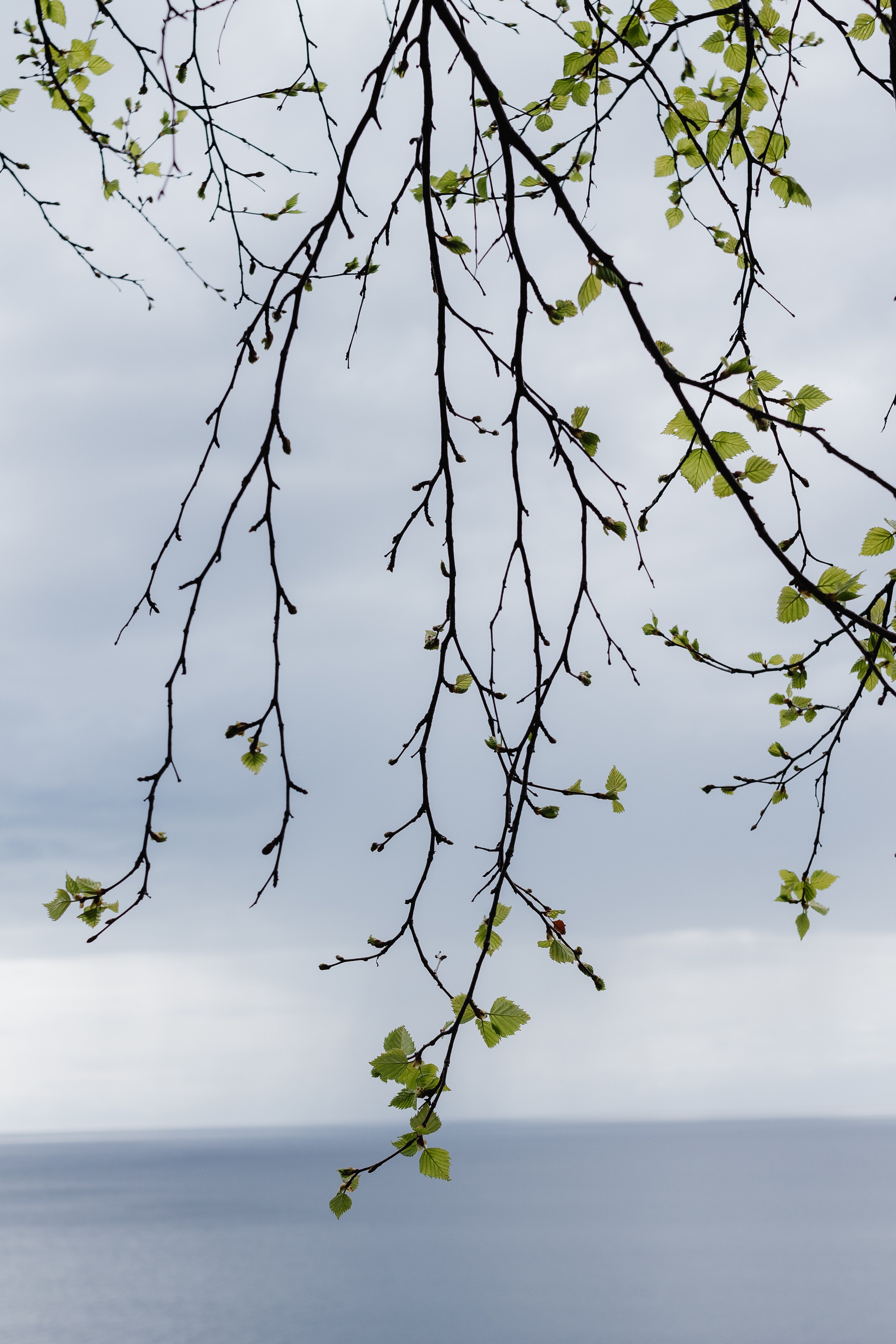 Ретрит на Байкале / Школа Ведических знаний SoVA / 7 дней, 2023. Борщевская Елизавета / фотограф Иркутск