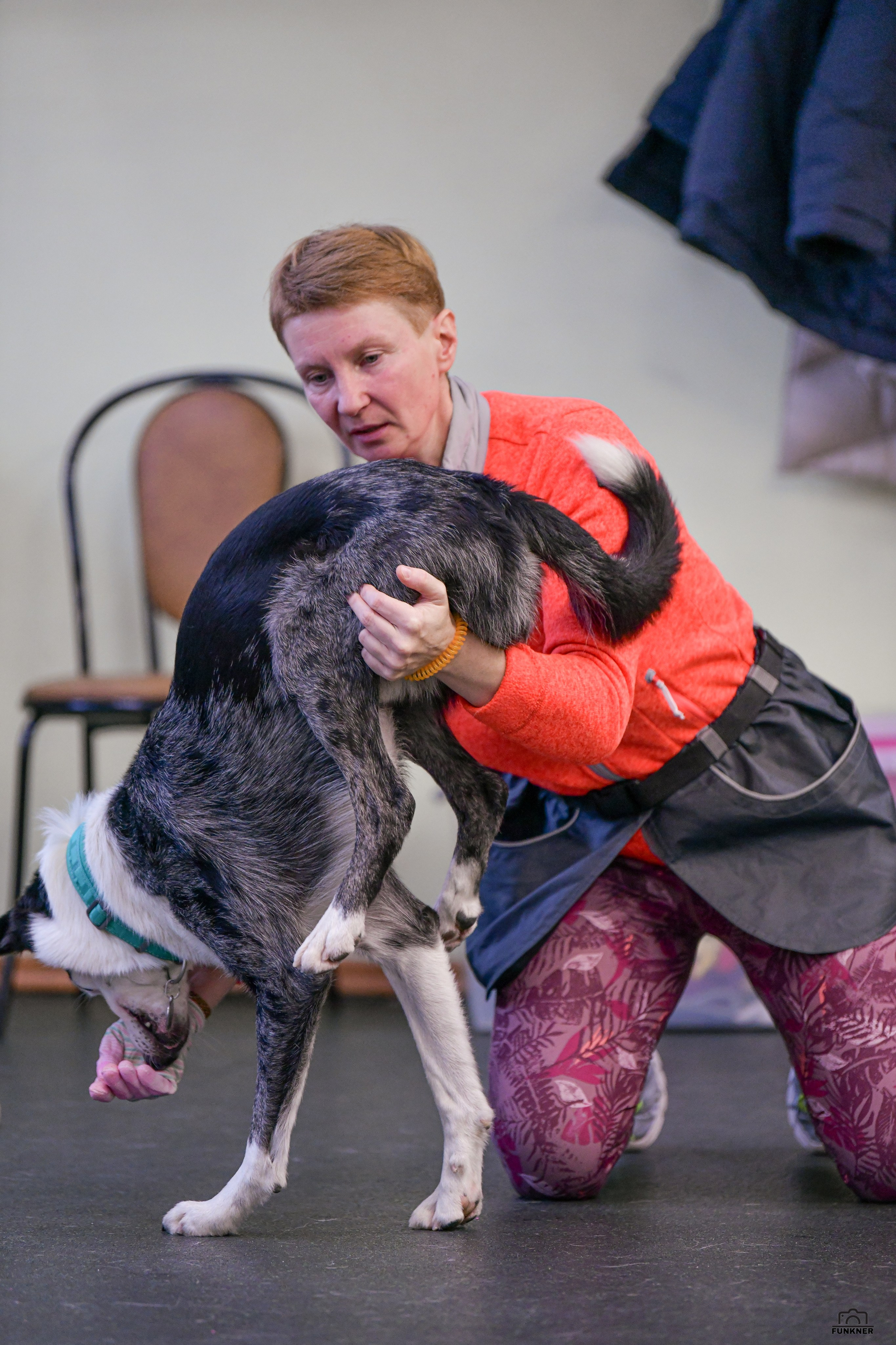 Кинологический клуб «Бодрый хвост». Свой взгляд через объектив