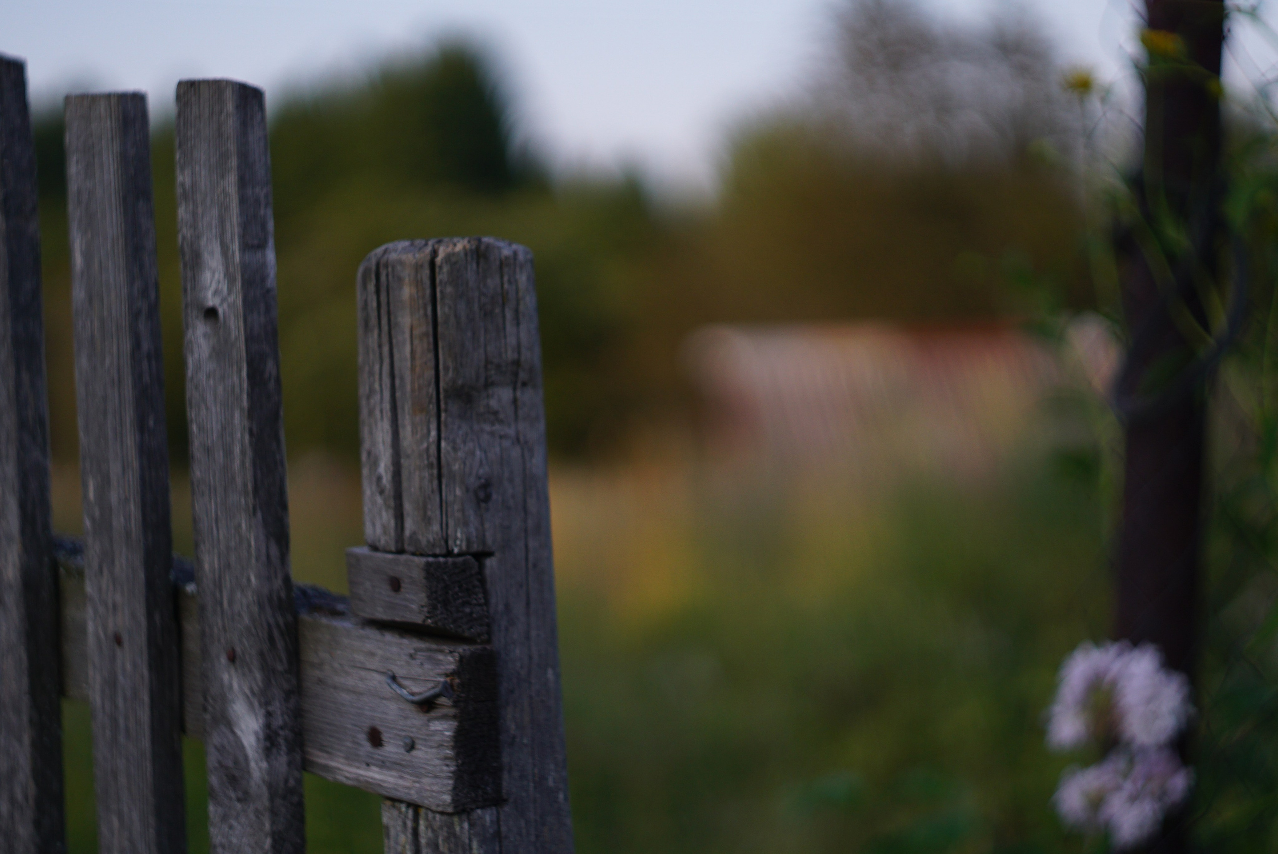 Разное. Фотограф в Санкт-Петербурге Виктория Барышникова