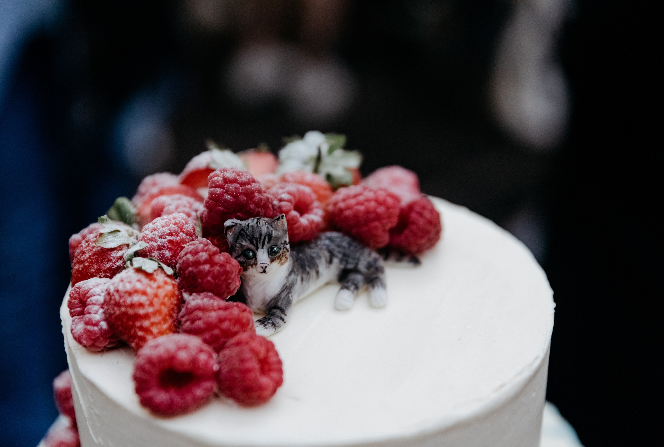 Построю свой лунапарк. Свадебный фотограф в Санкт-Петербурге