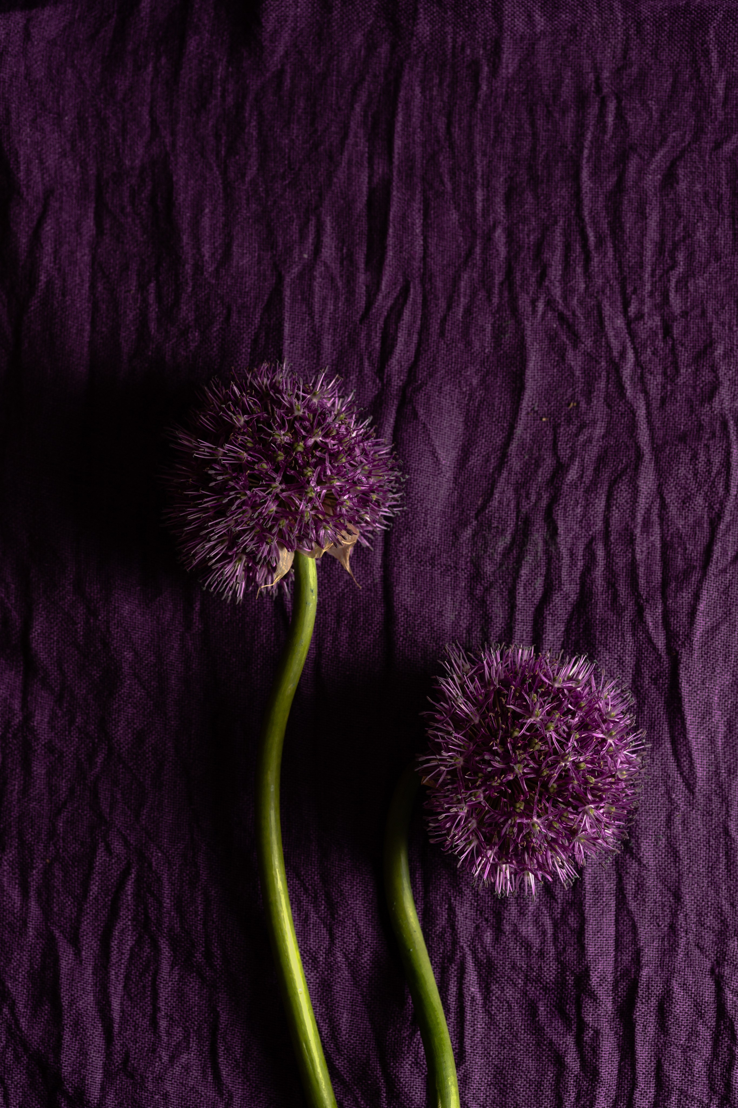 Портфолио — Творческие съёмки. Фуд-фотограф, фуд-блогер Москва — Анна Новикова