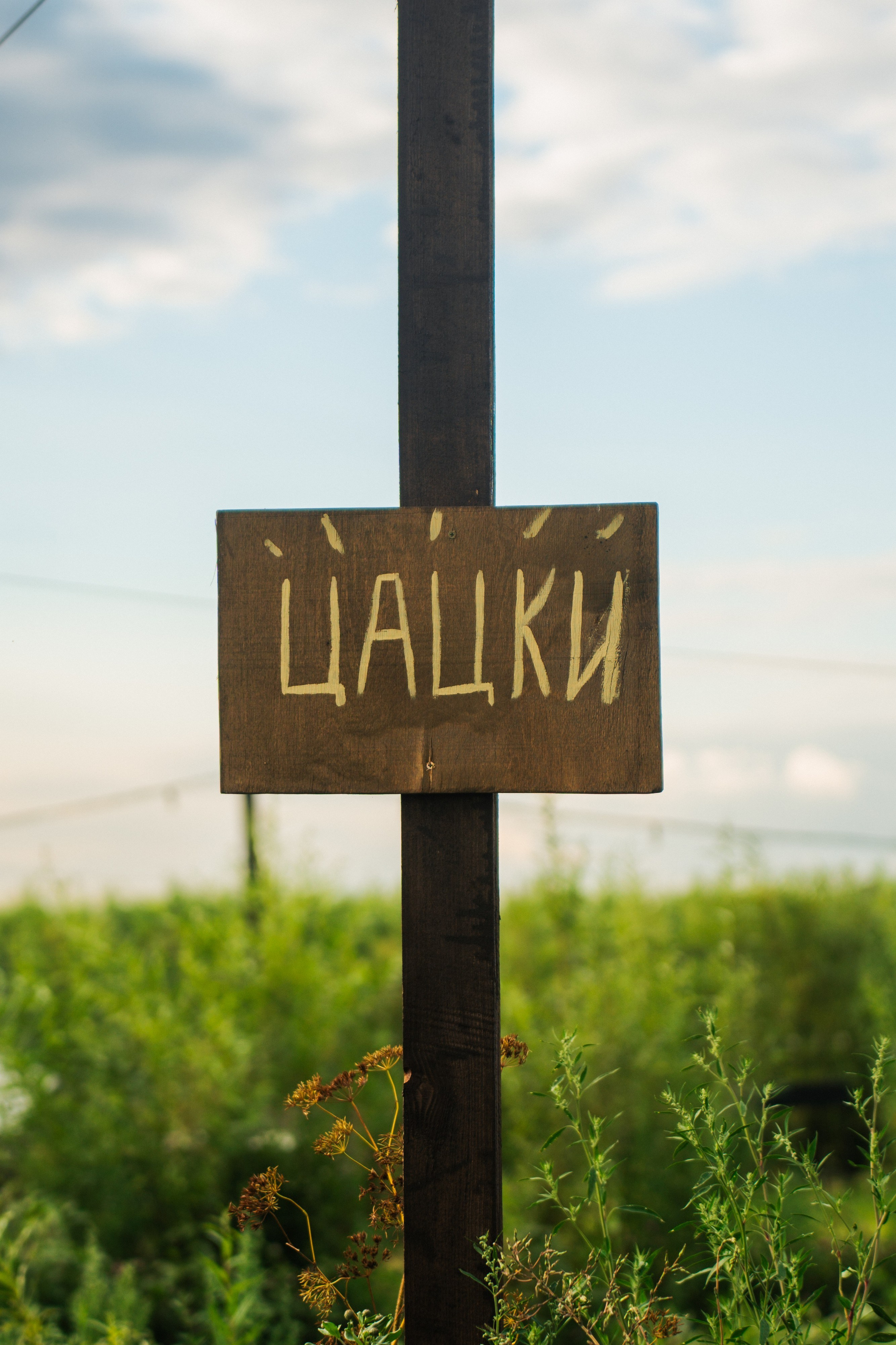 Девичник. Сыч. Фотограф в Воронеже Ольга Космодемьянская