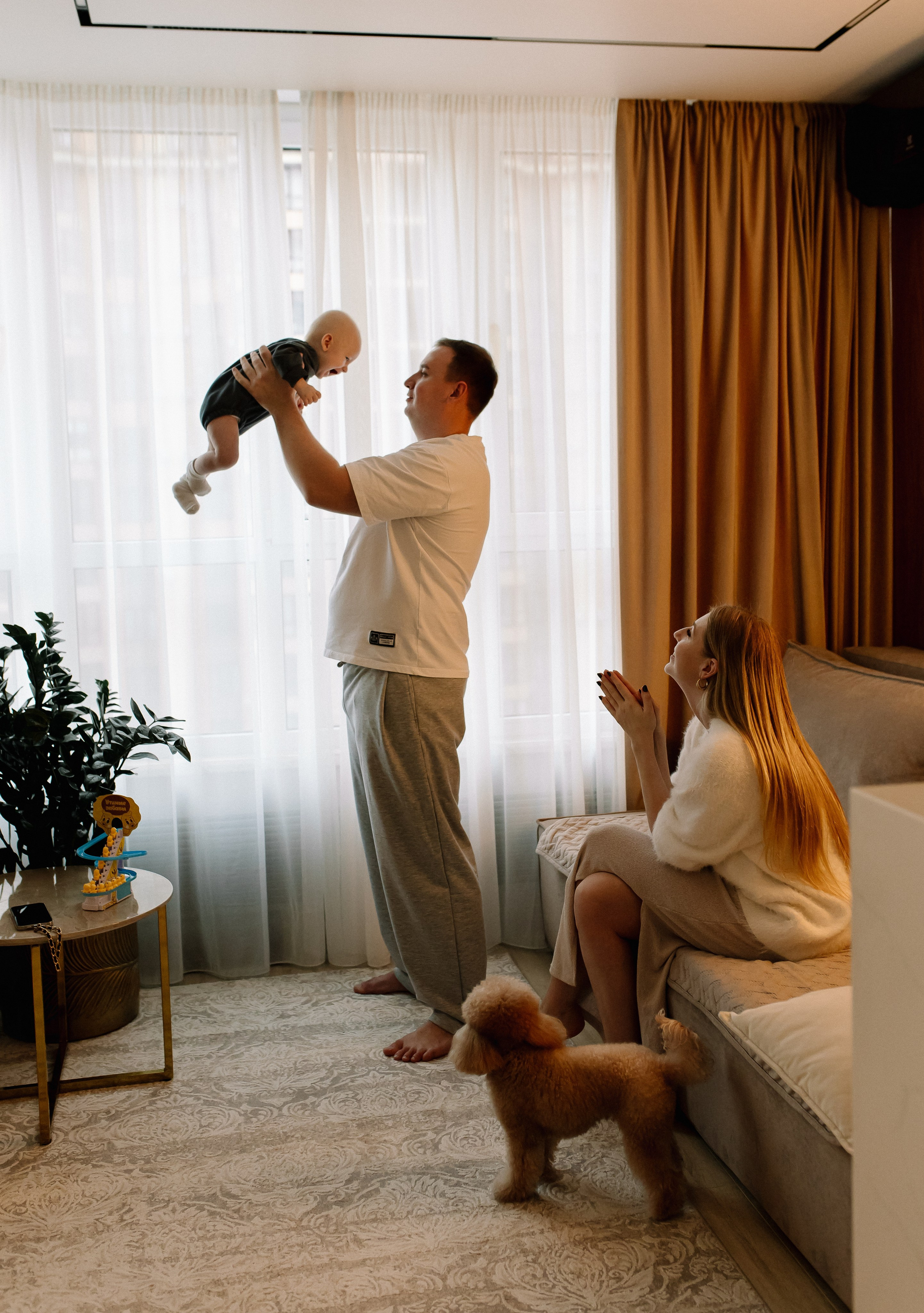 Домашняя история. Meryfotoidea