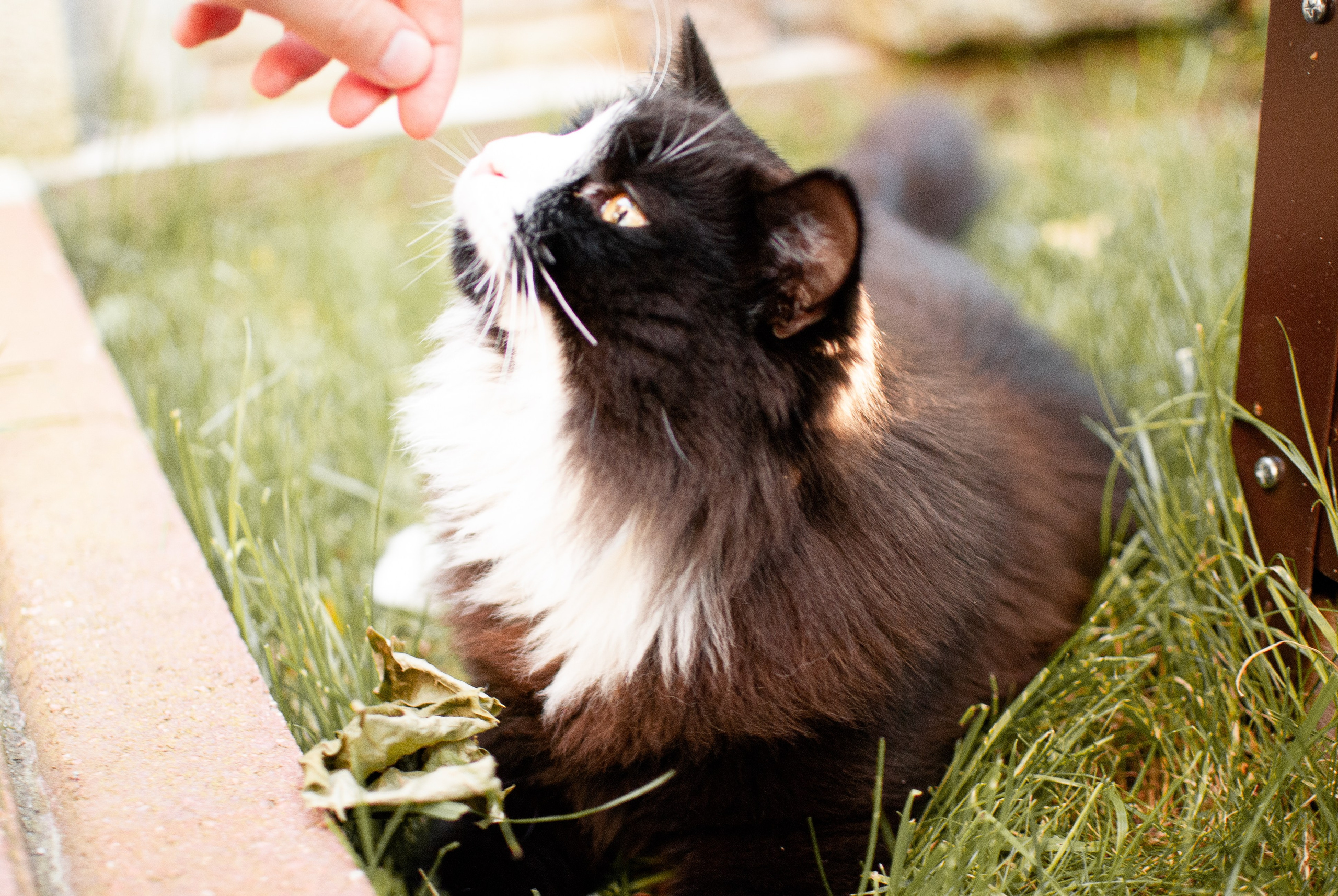 Makar & Julia. Арт-фотограф в Калининграде