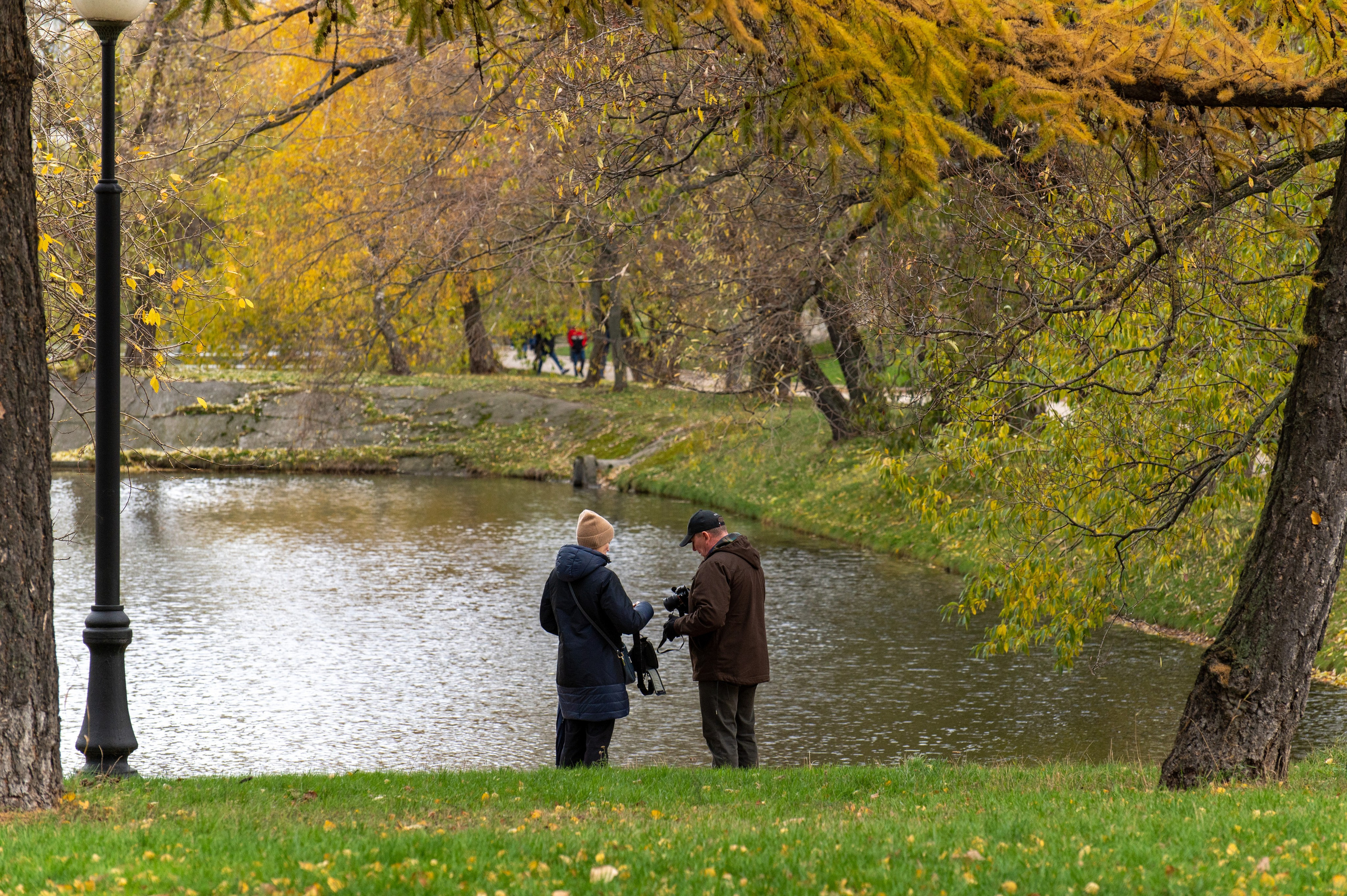 20221030 Новодевичий. Дмитрий Ремизов. Фотография, как хобби